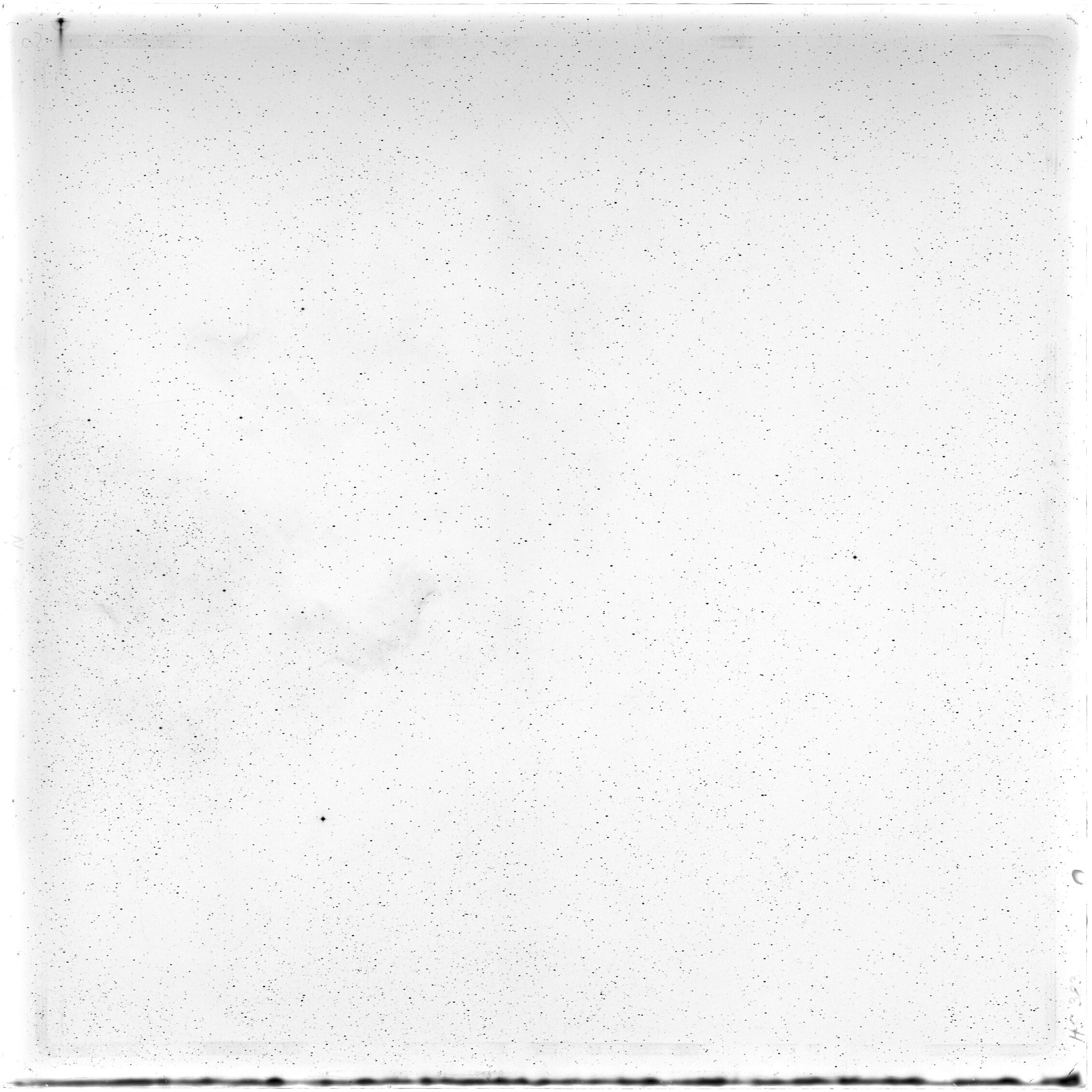 Scan HS00383