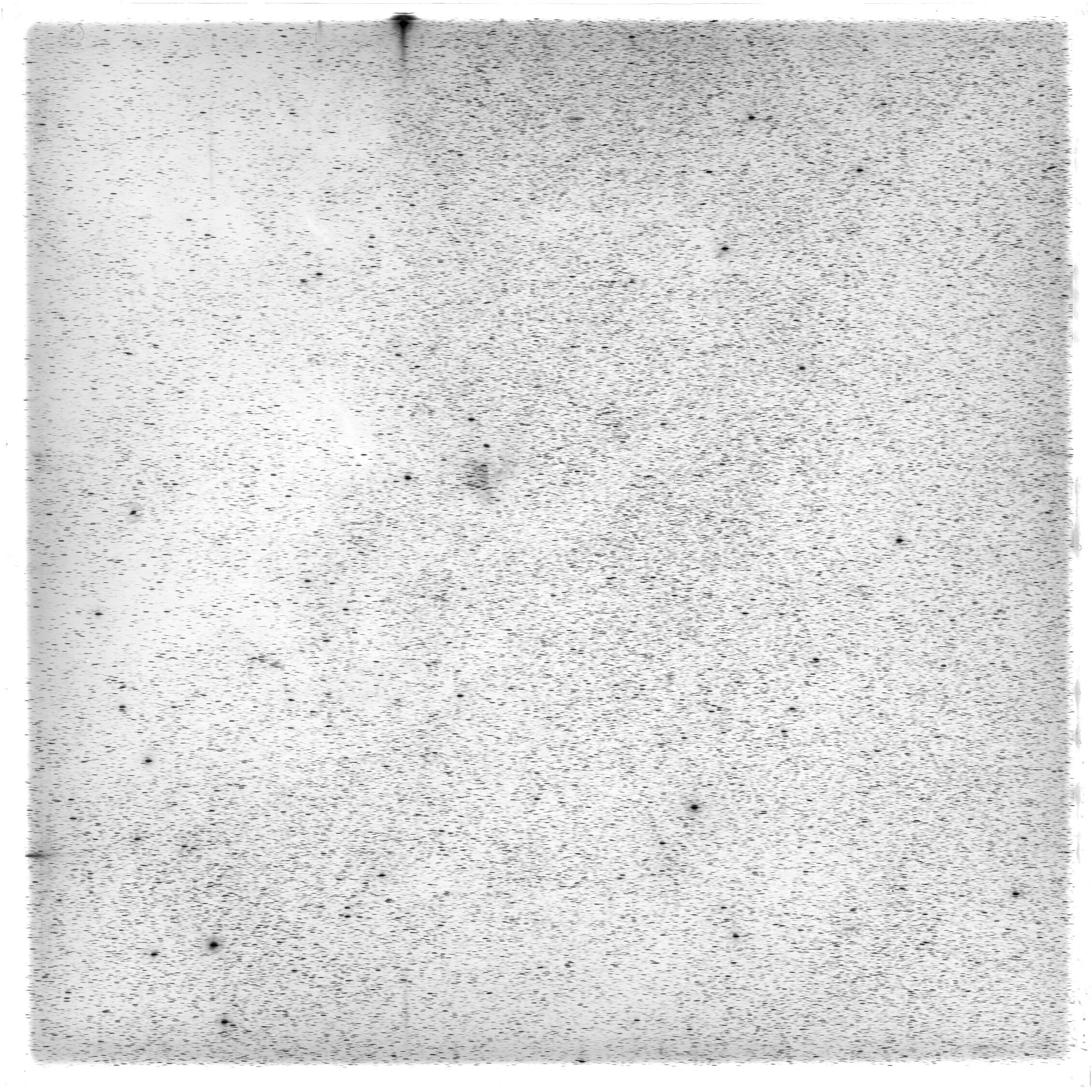 Scan HS00384