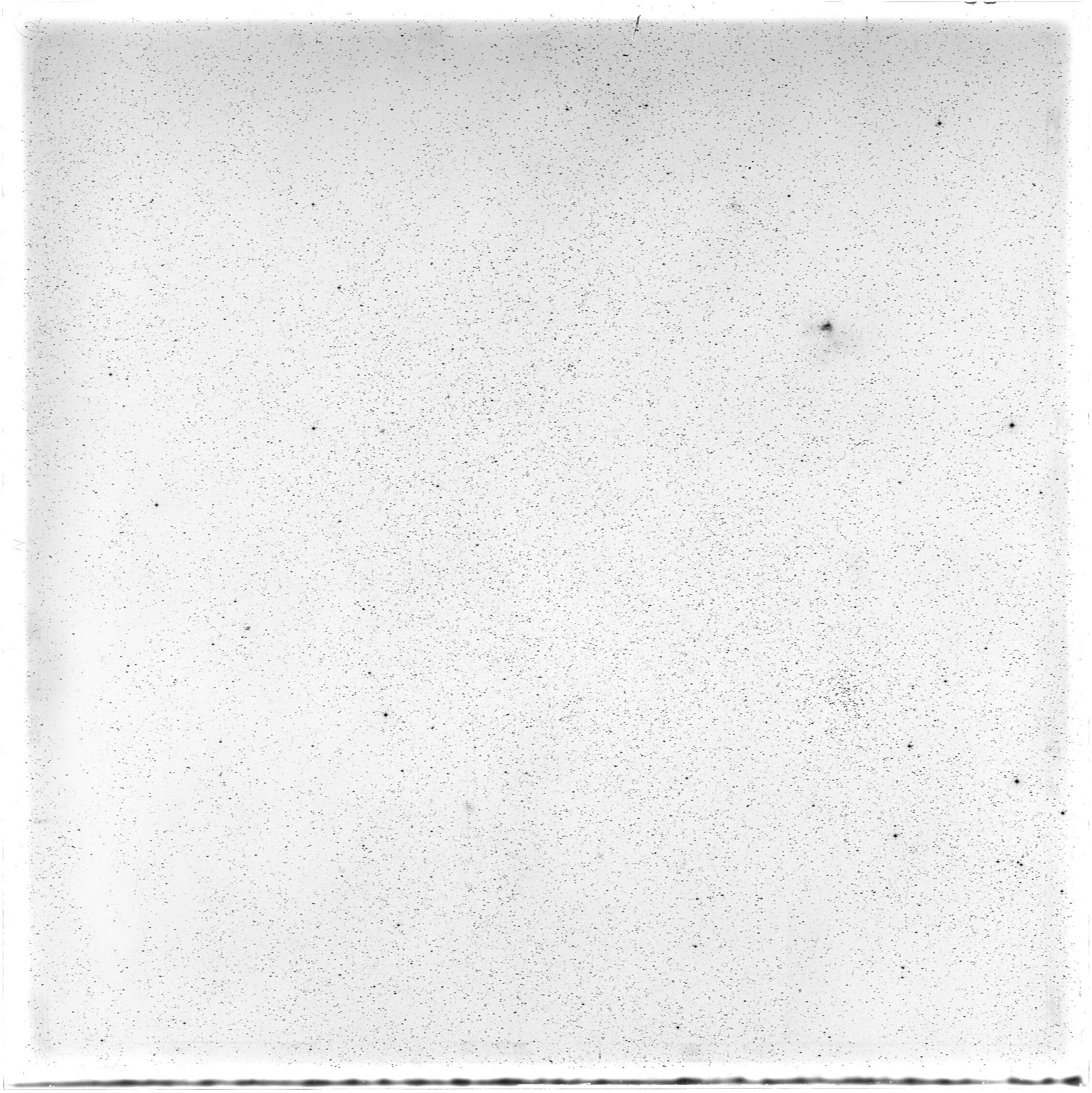 Scan HS00387