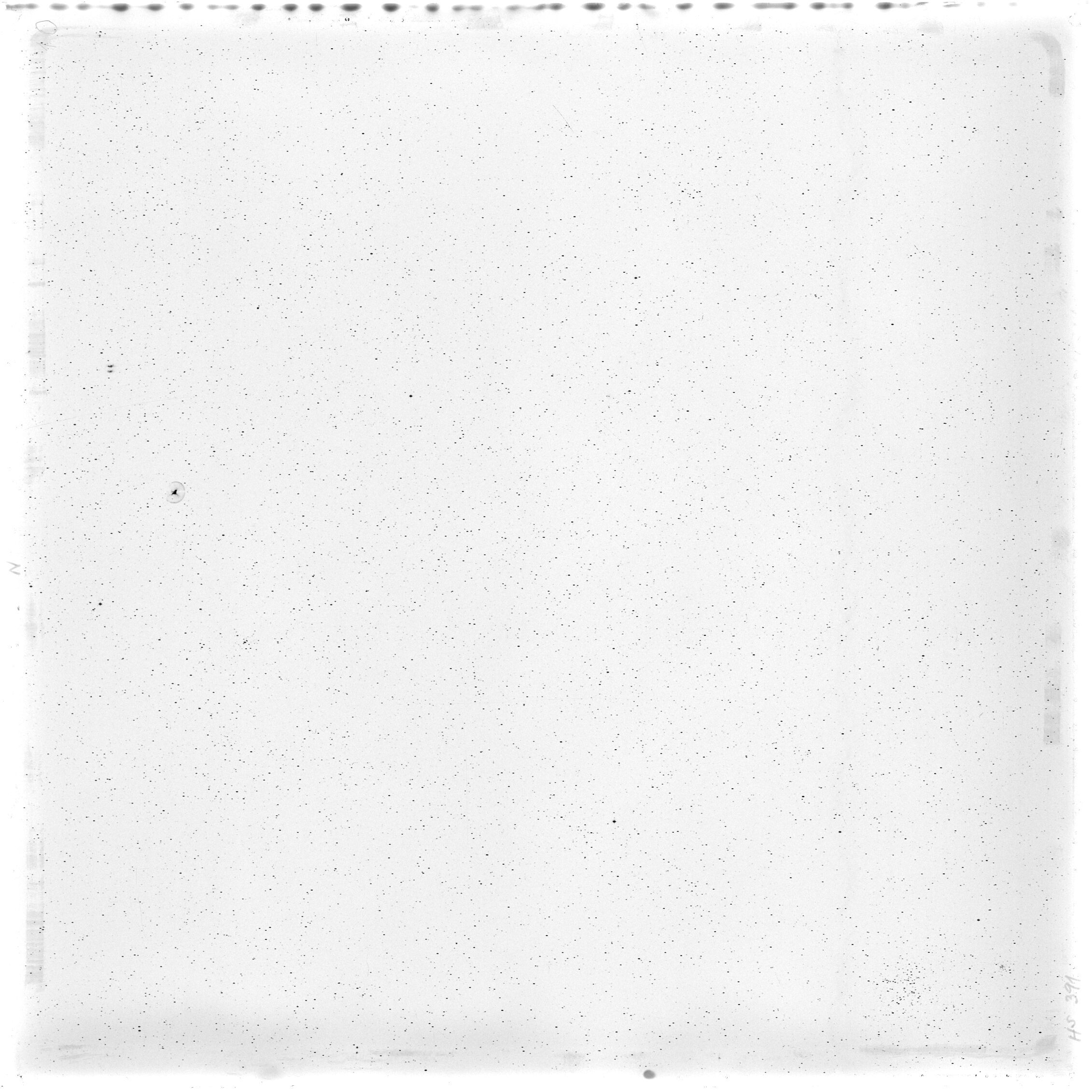 Scan HS00391