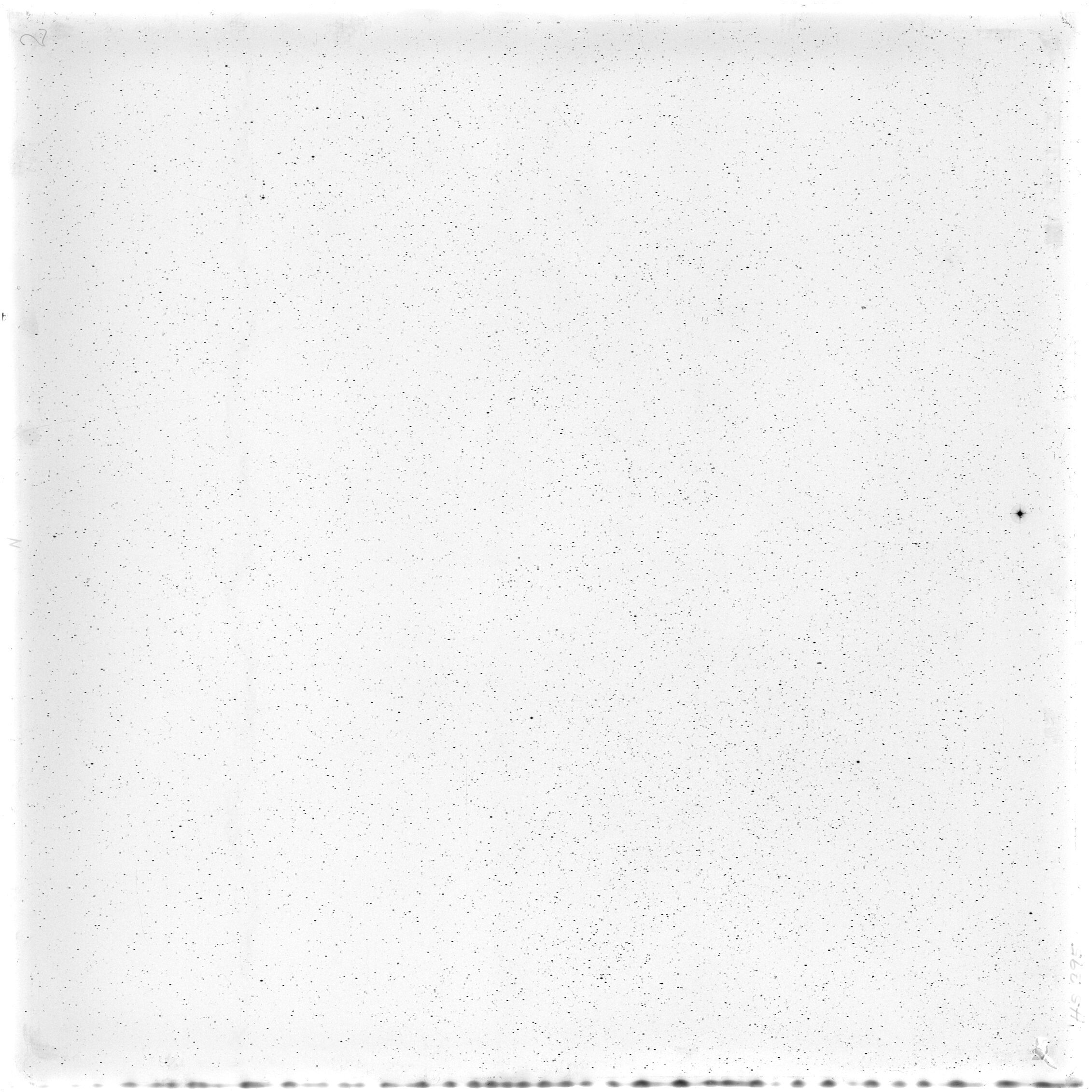 Scan HS00395