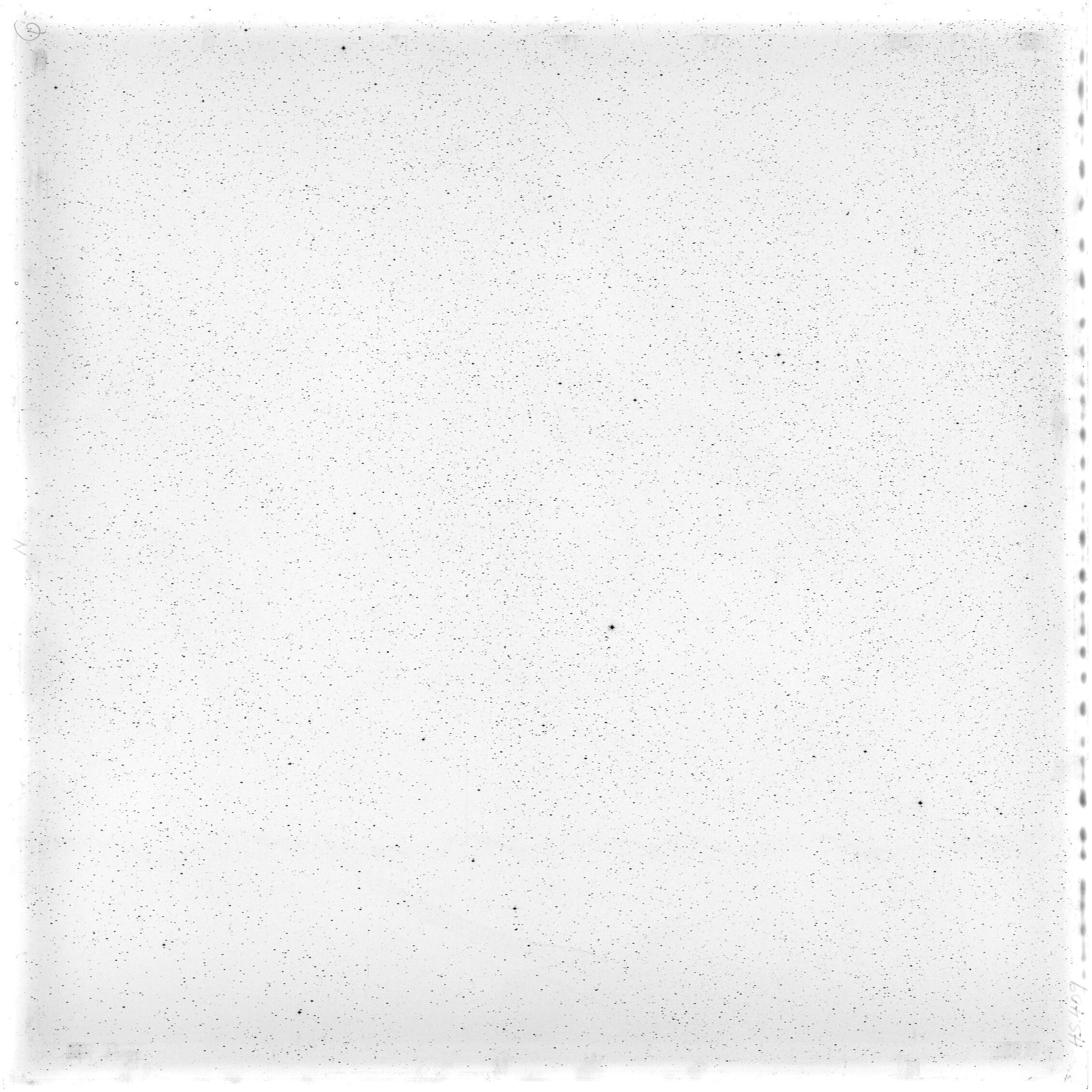 Scan HS00409