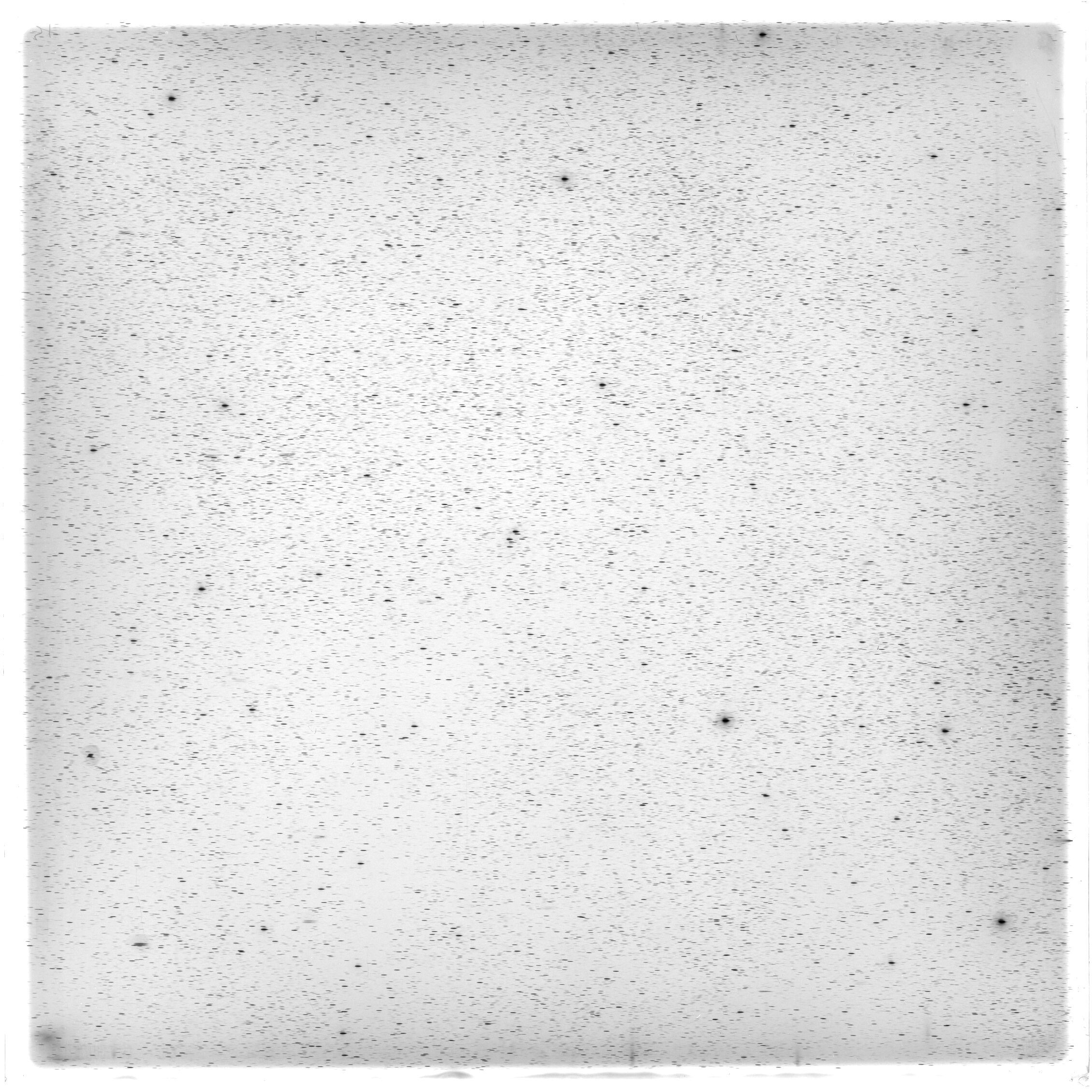 Scan HS00410