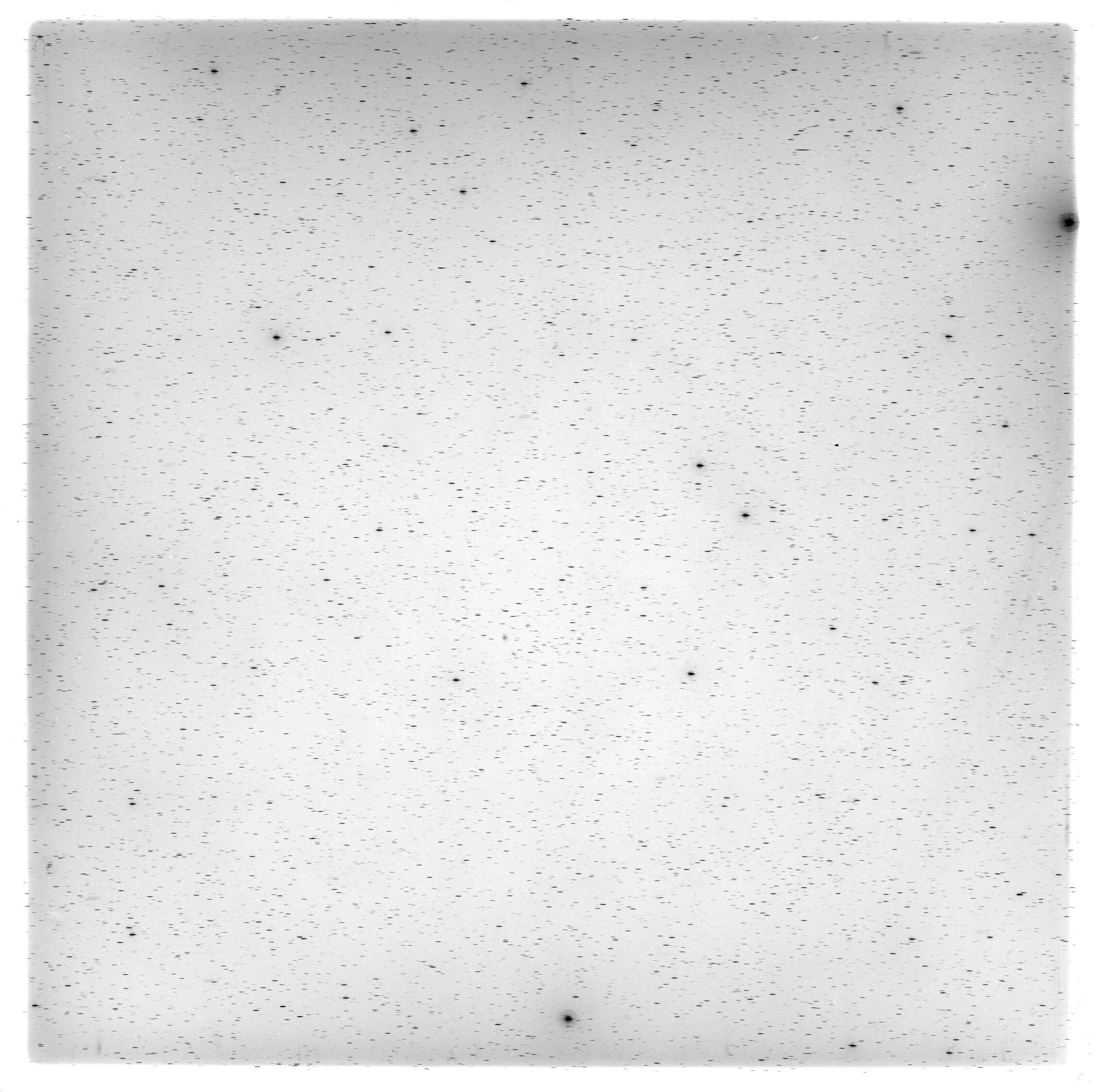 Scan HS00505