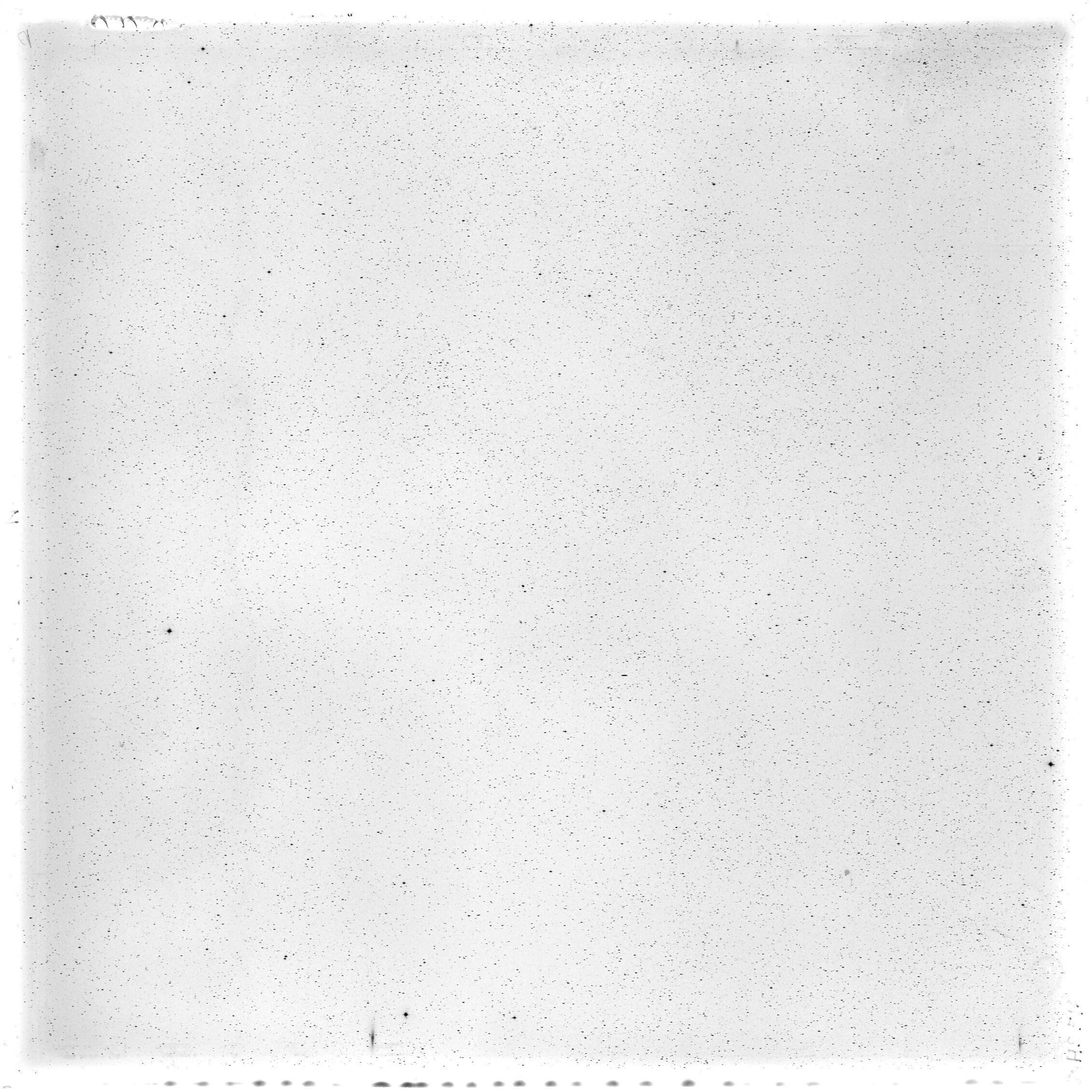 Scan HS00516