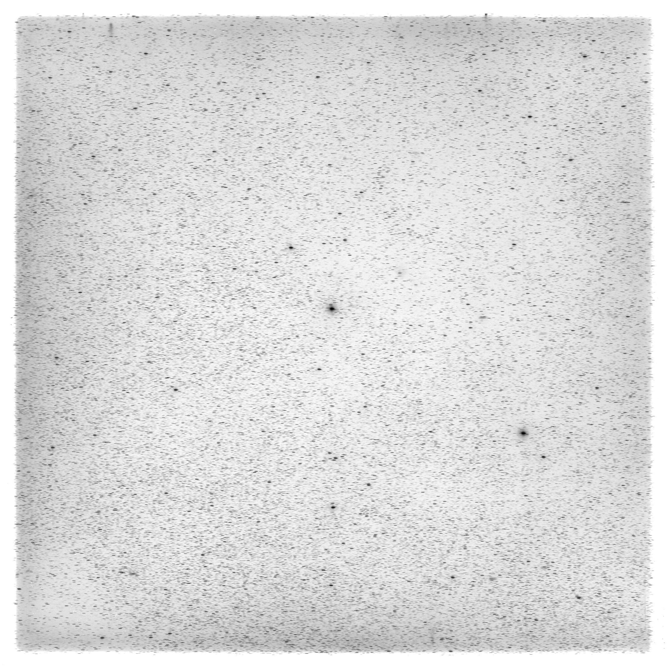 Scan HS00519
