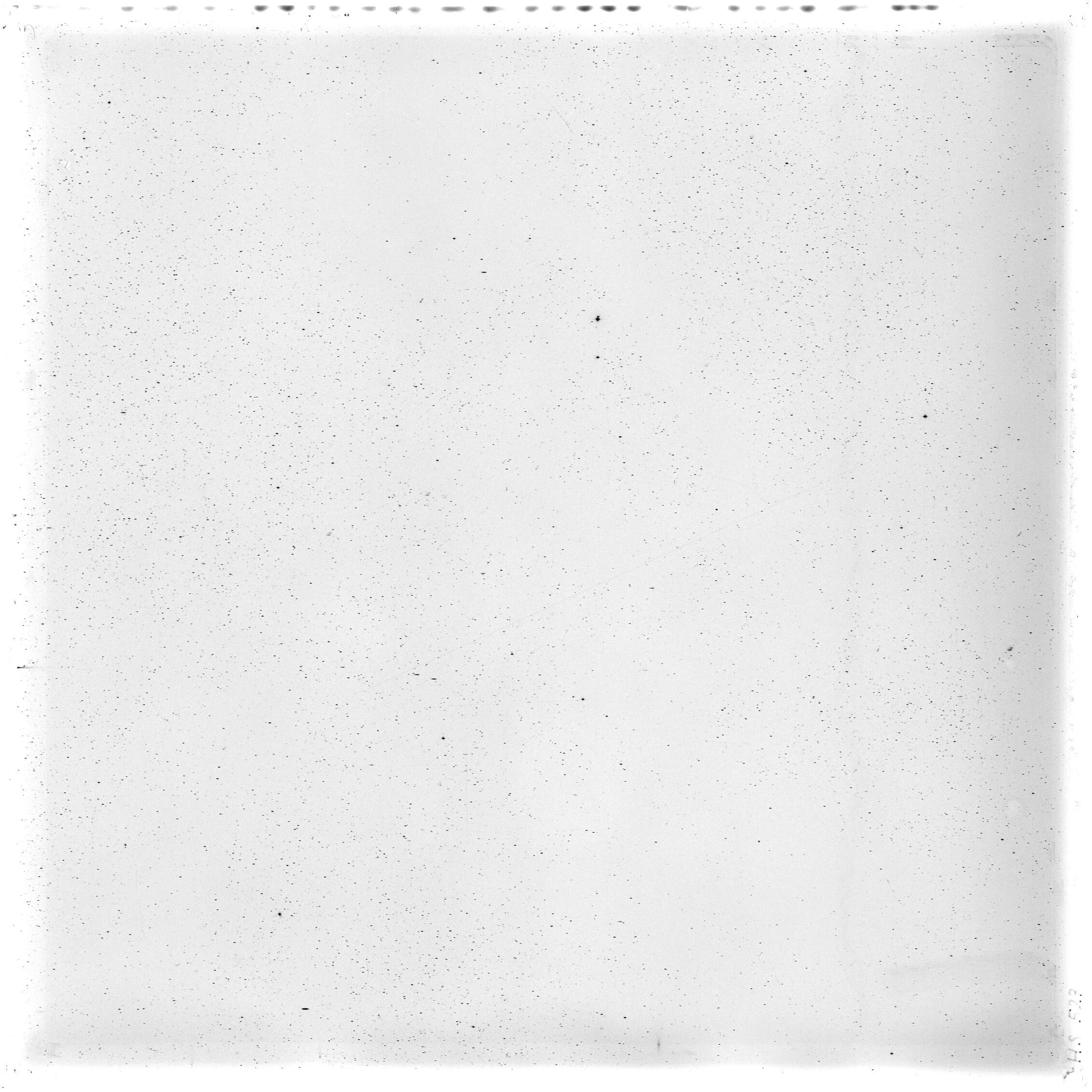 Scan HS00523
