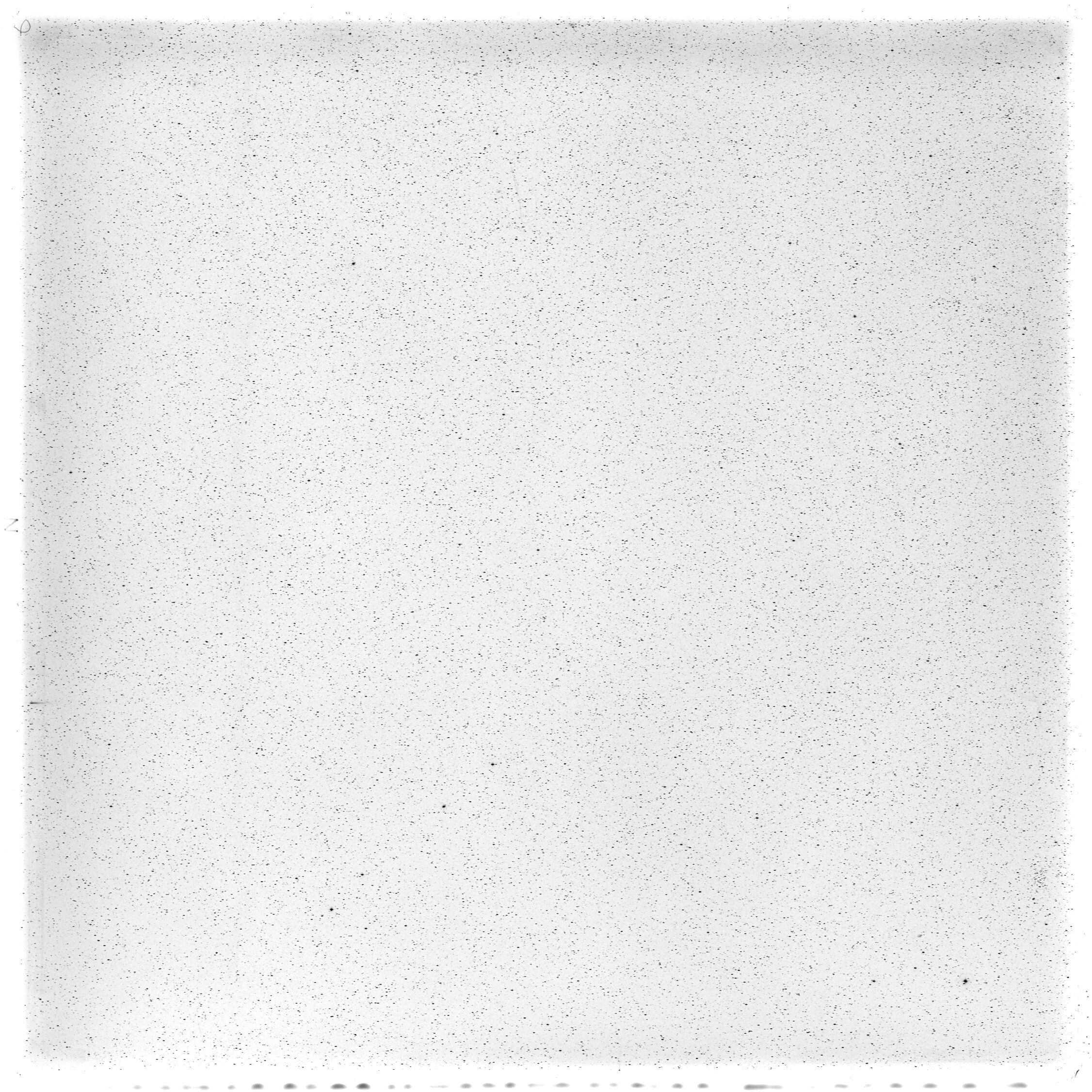 Scan HS00526
