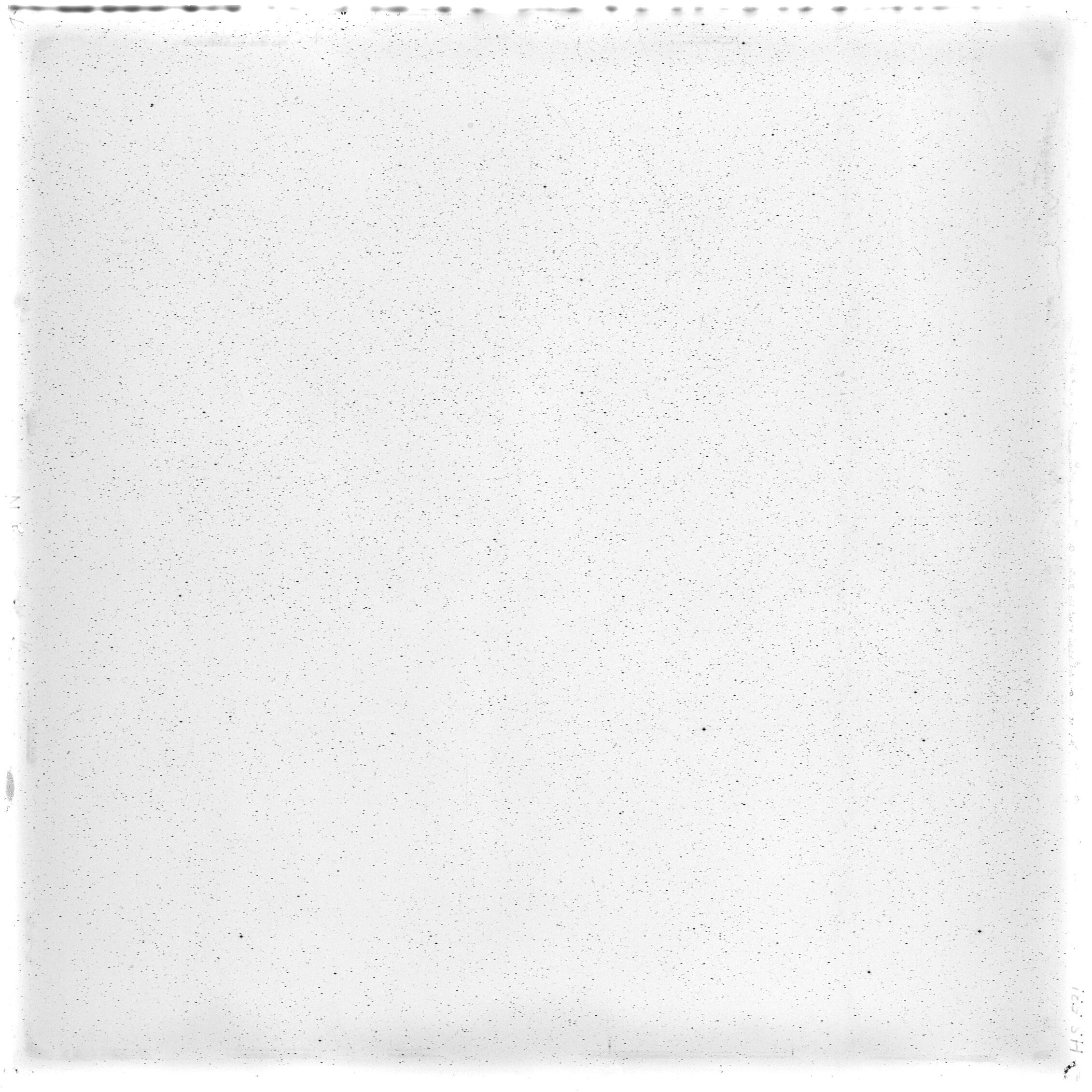 Scan HS00531