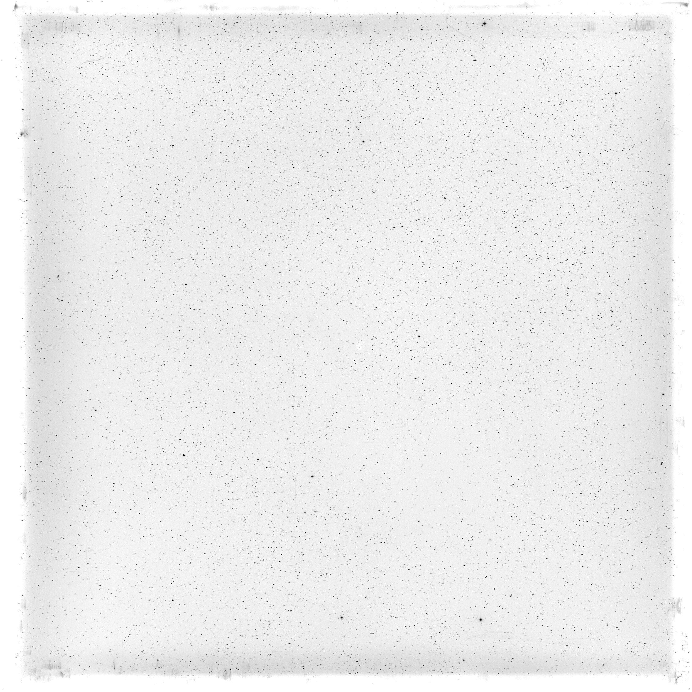 Scan HS00536