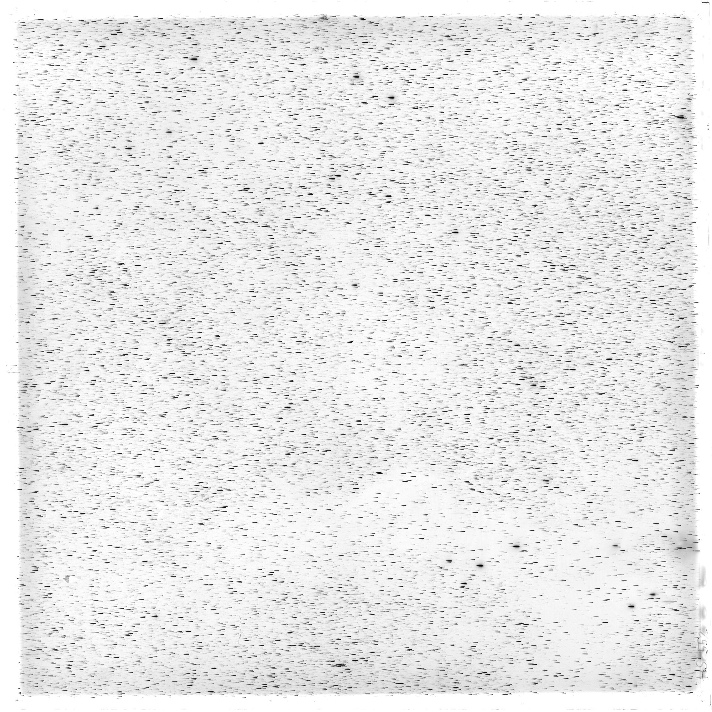 Scan HS00552