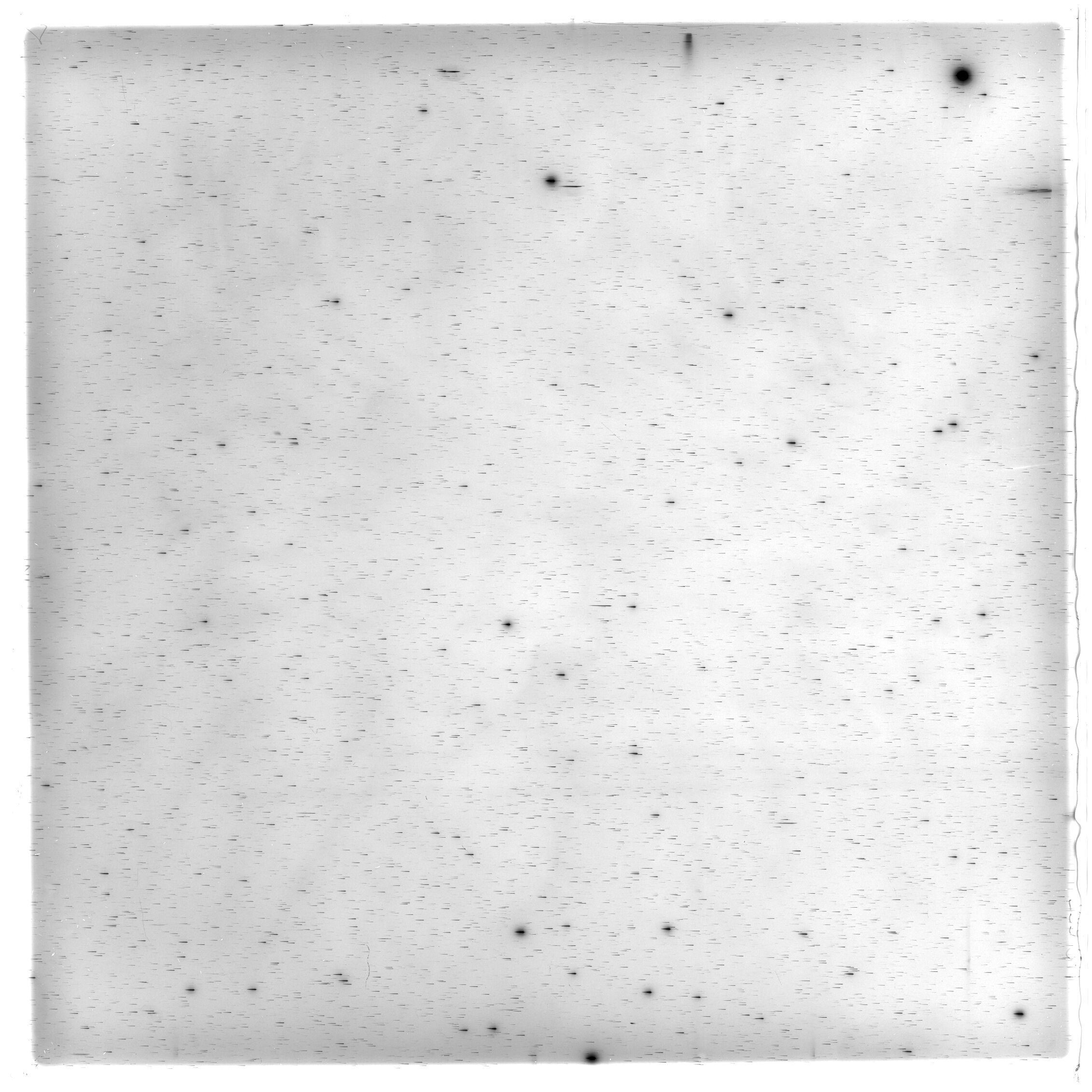 Scan HS00555