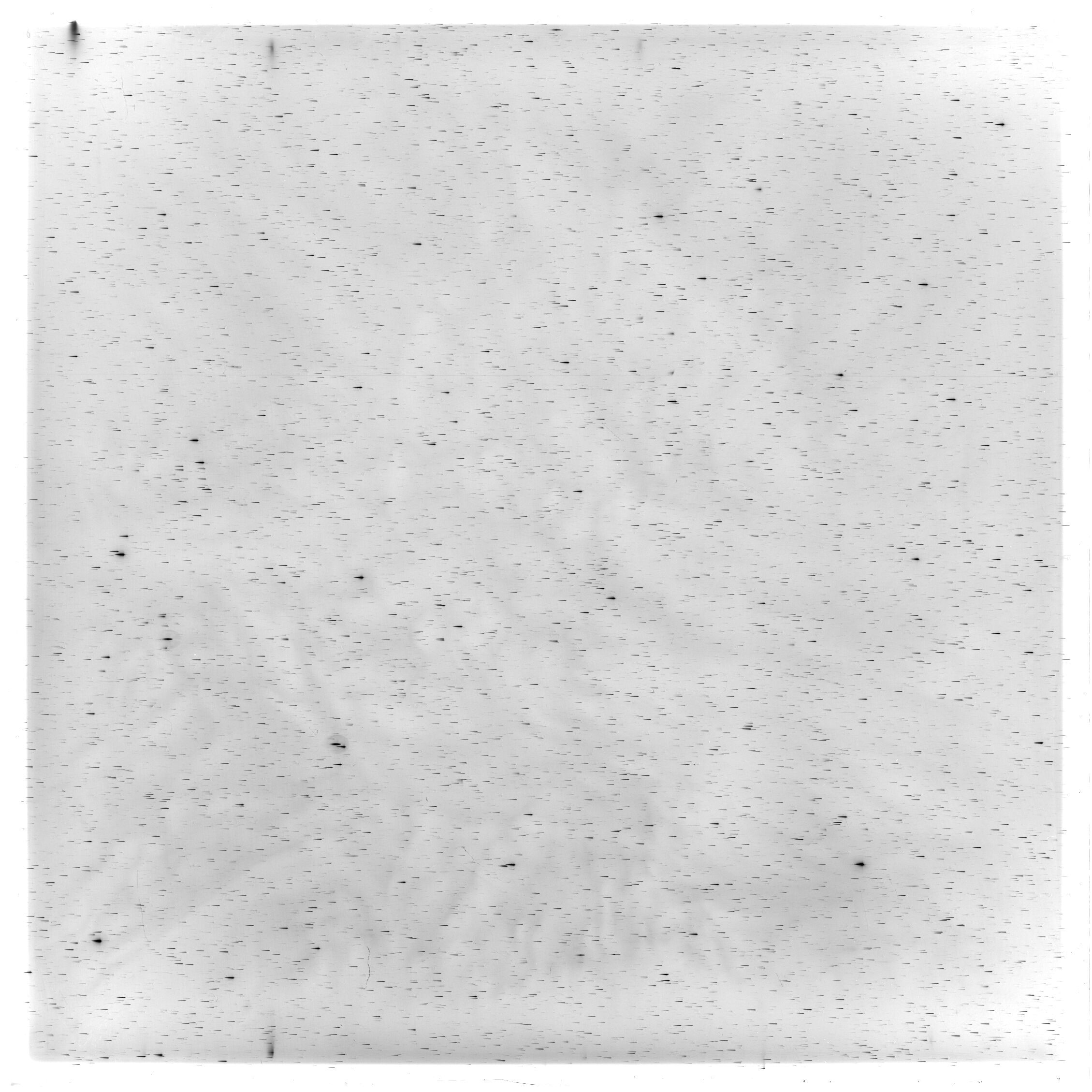 Scan HS00590