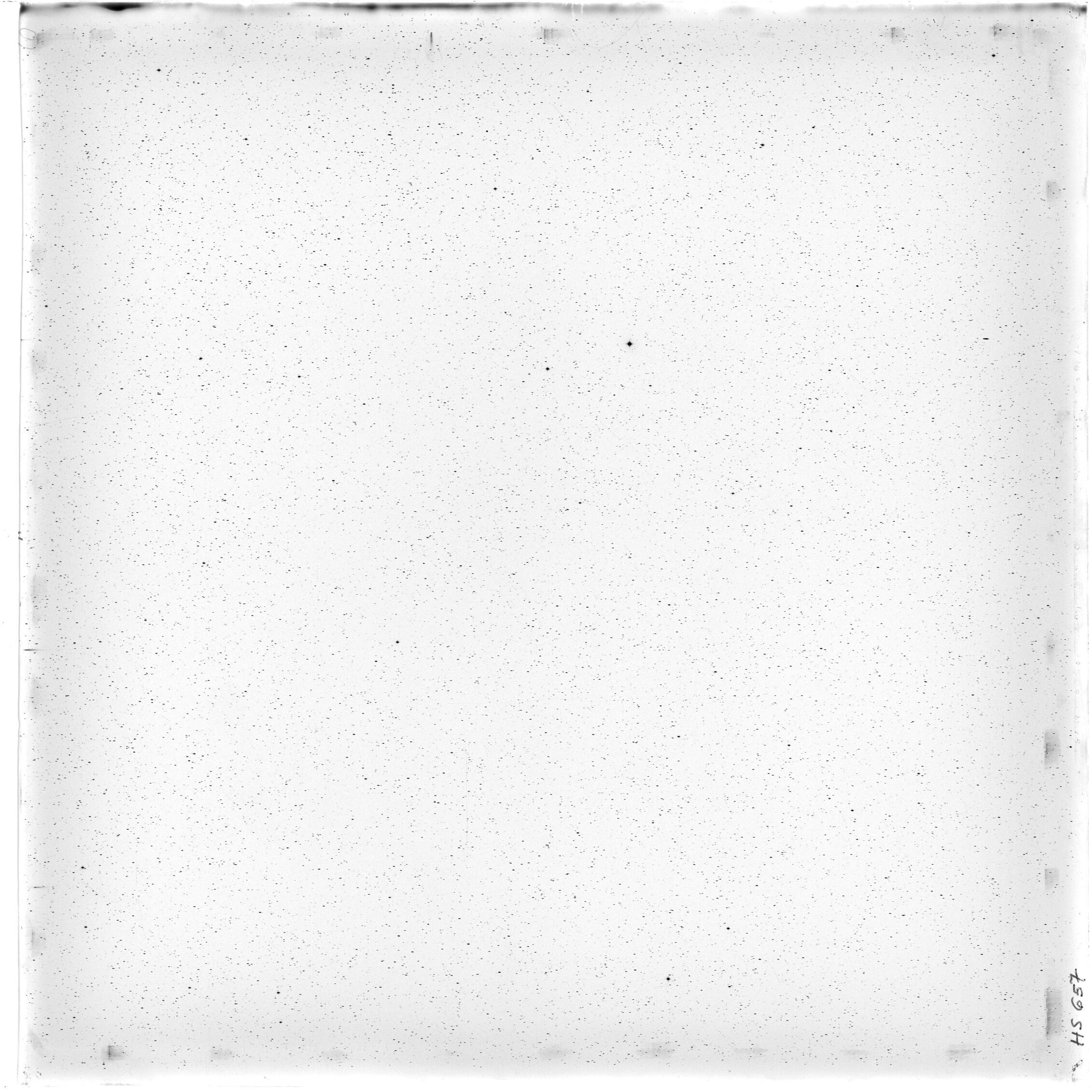 Scan HS00657