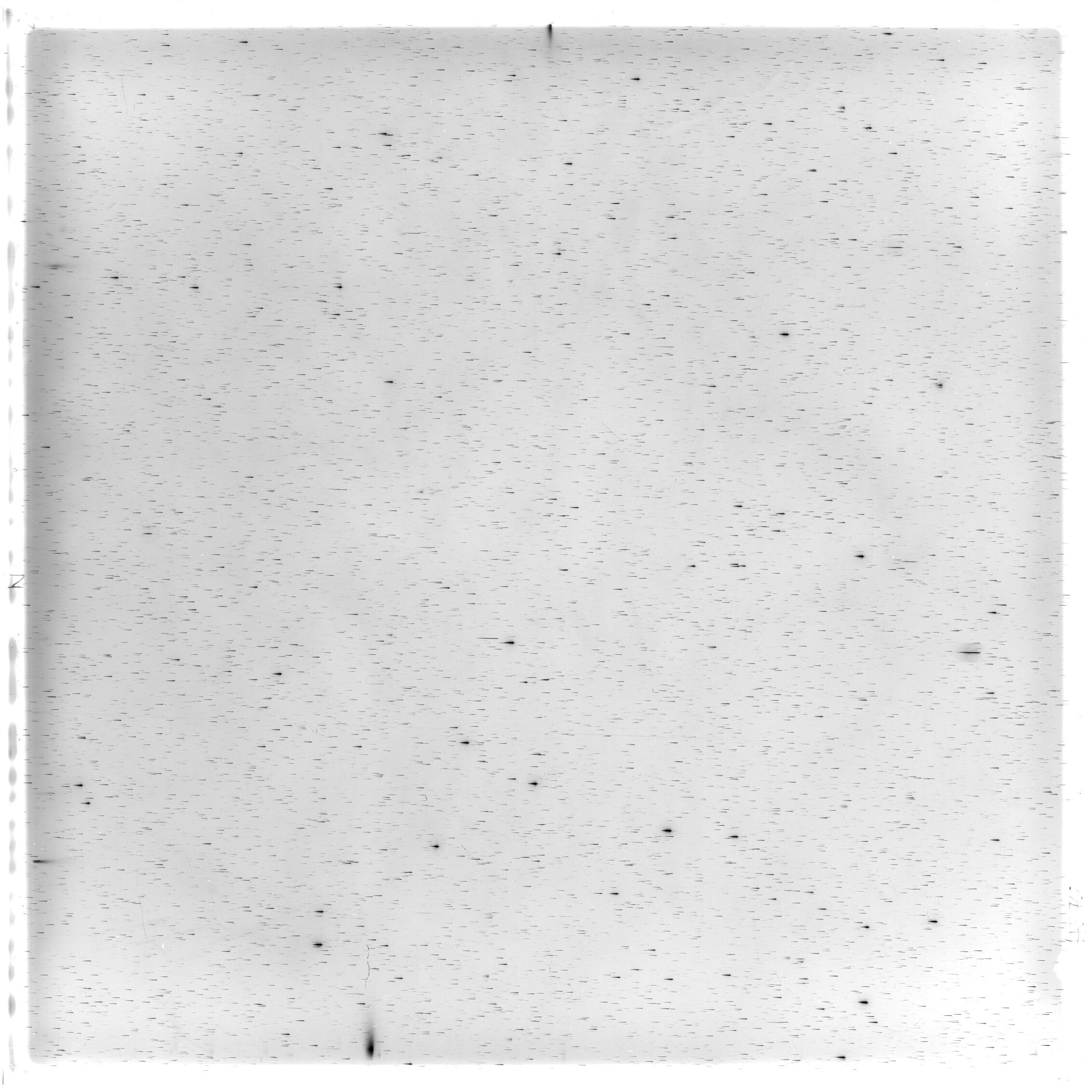 Scan HS00768