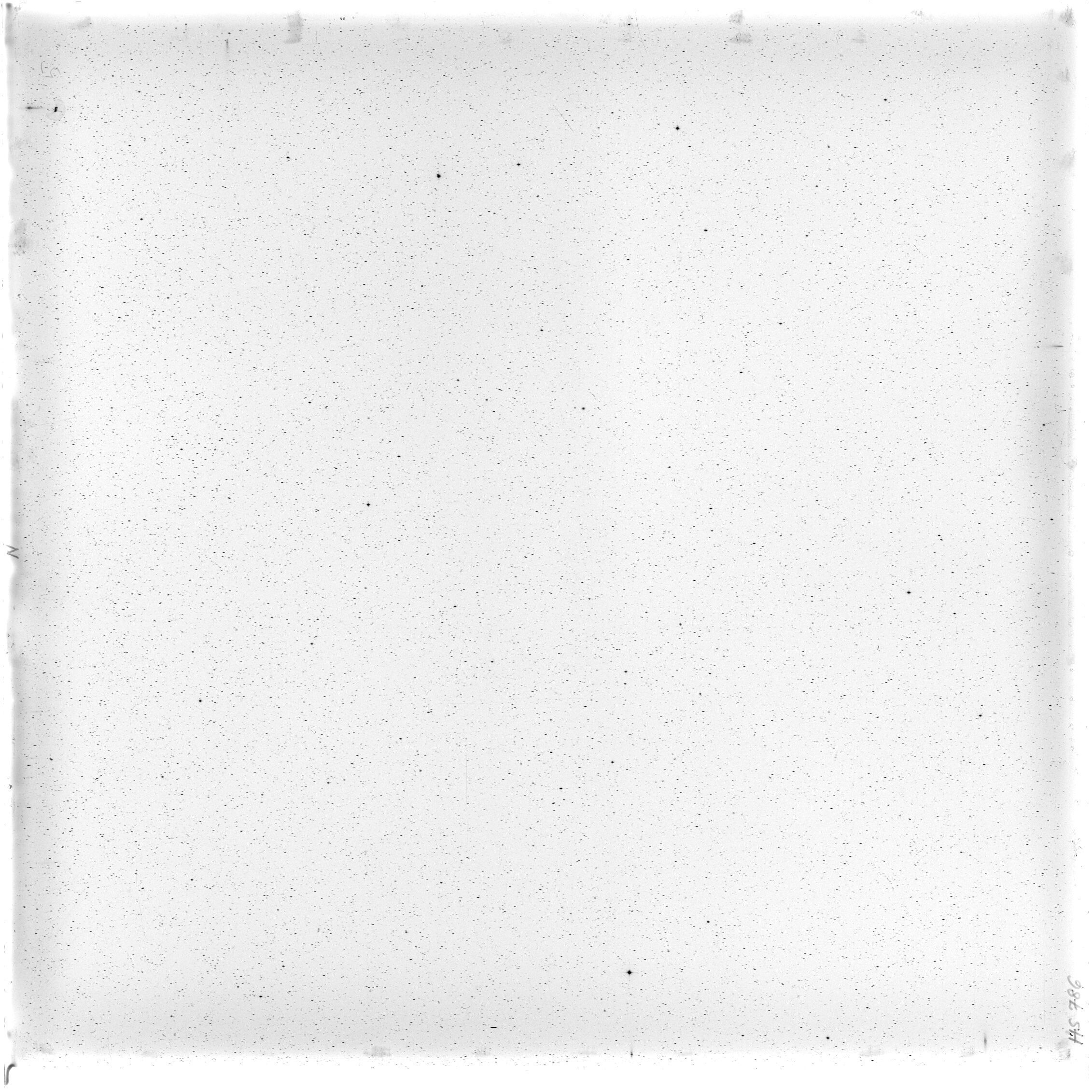 Scan HS00786