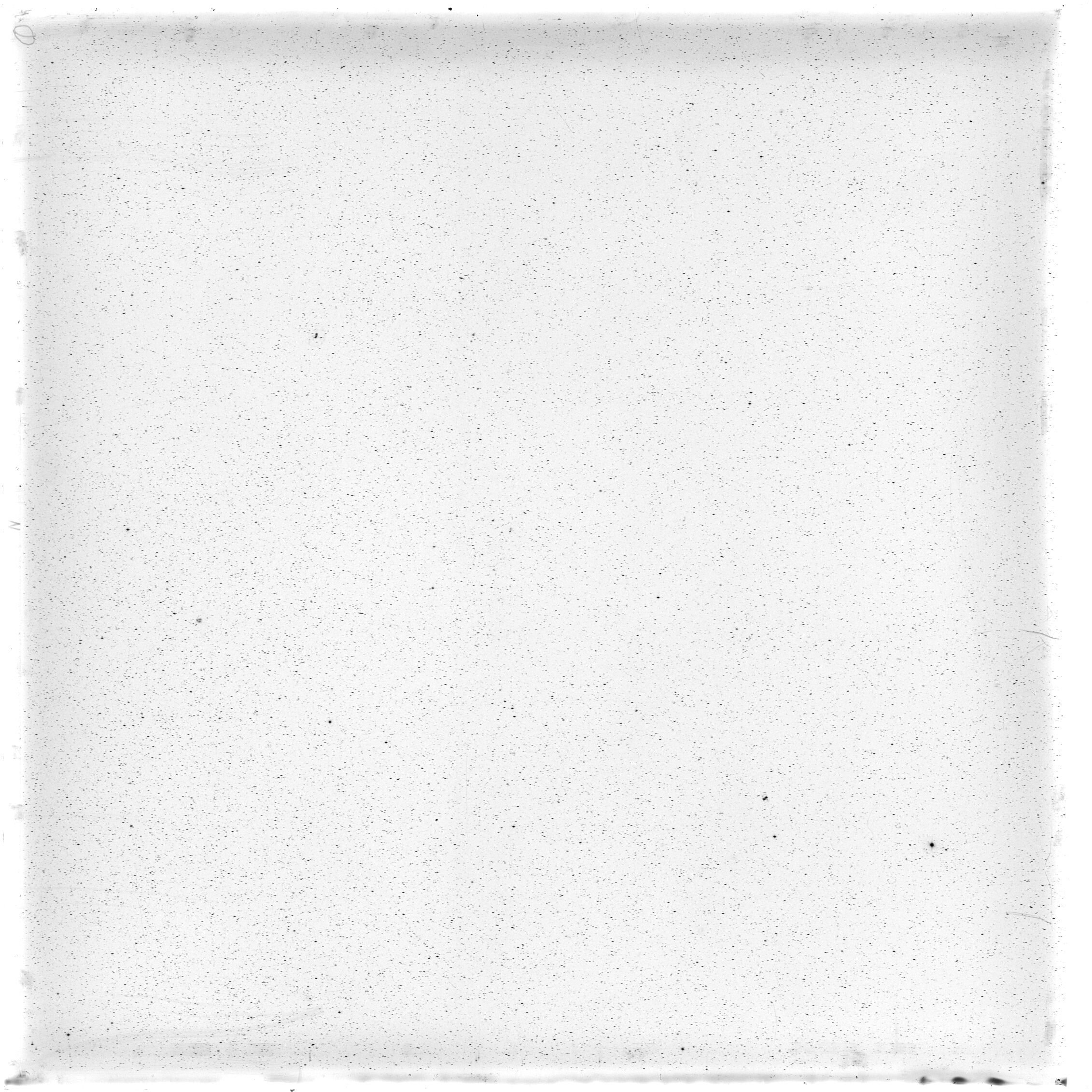 Scan HS00787