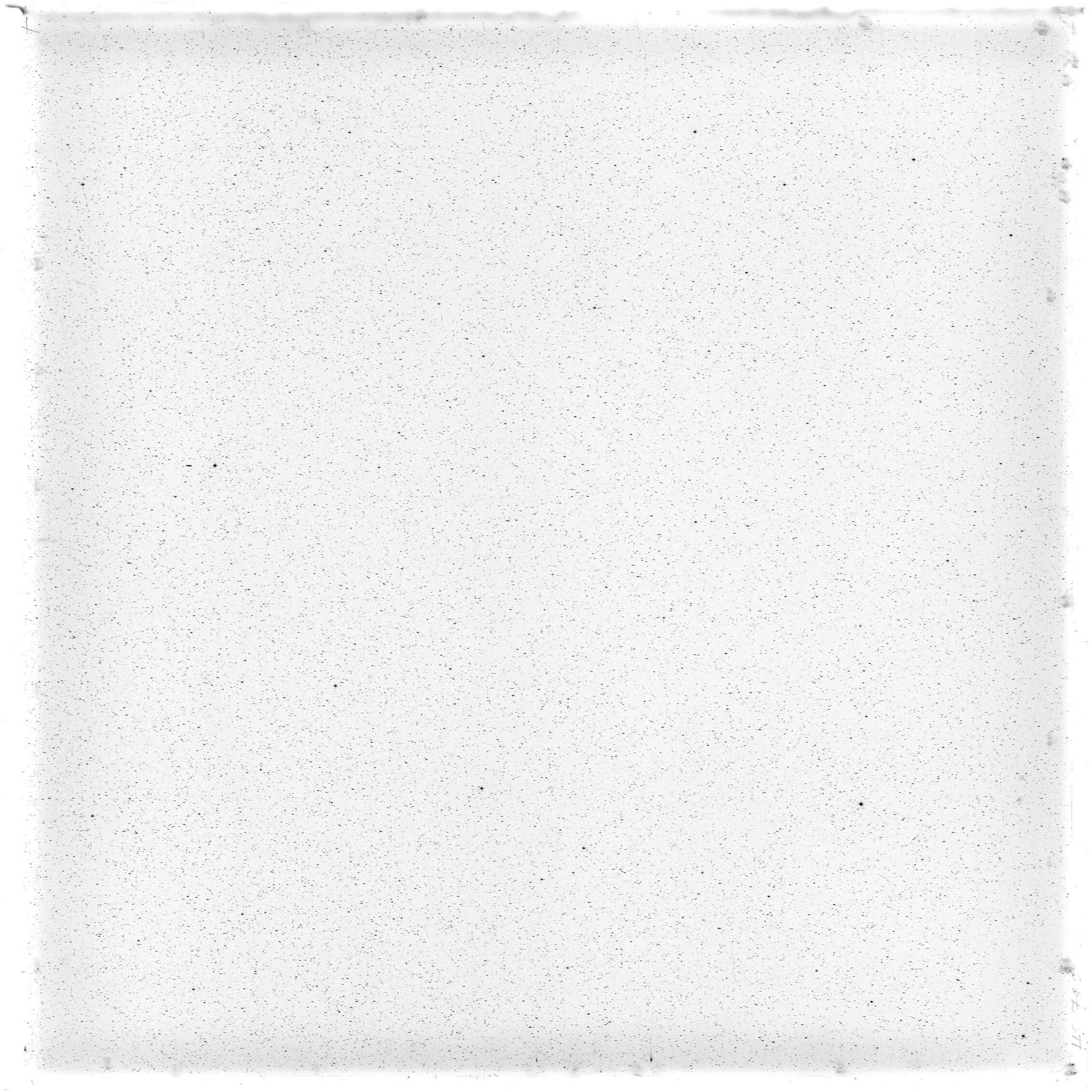 Scan HS00788