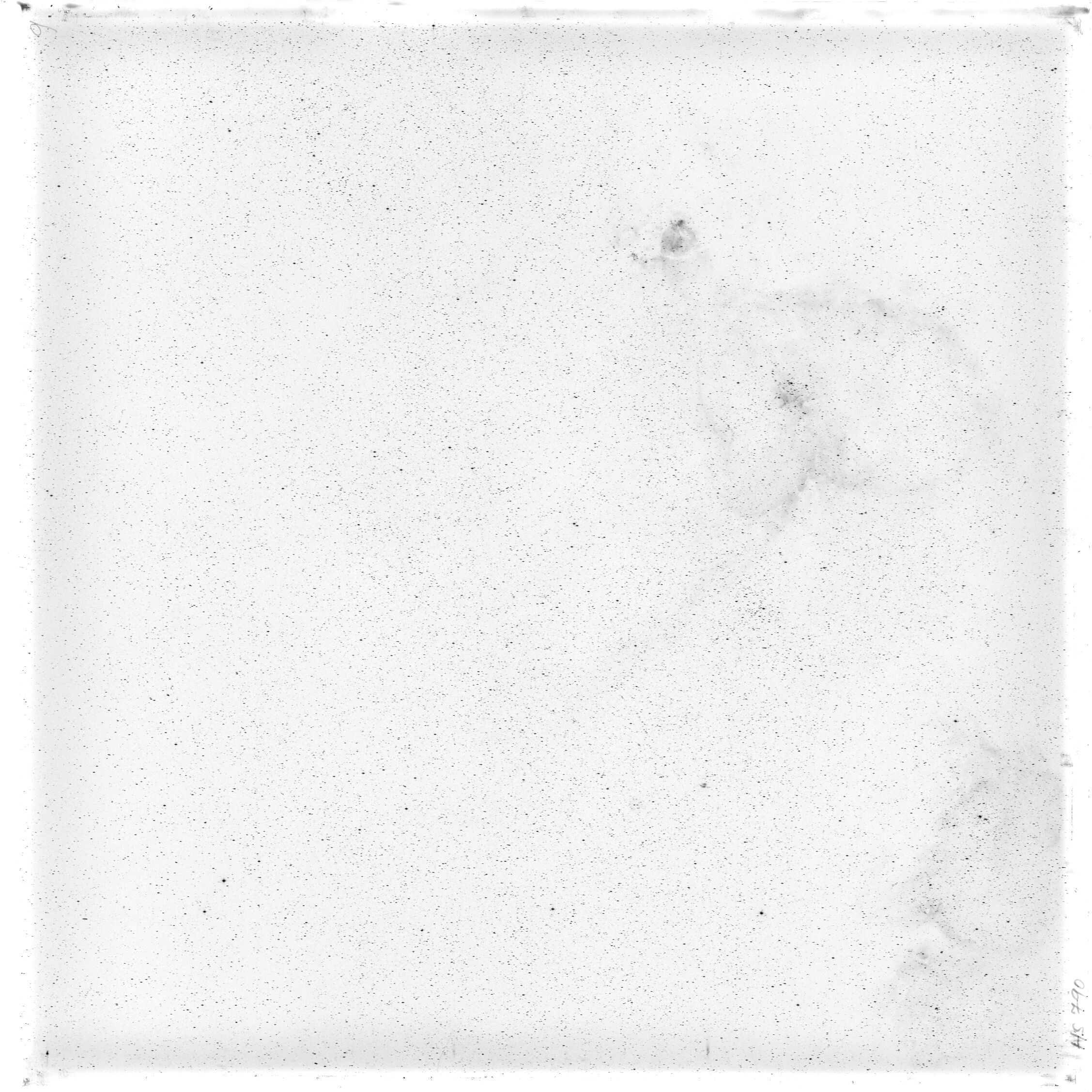 Scan HS00790