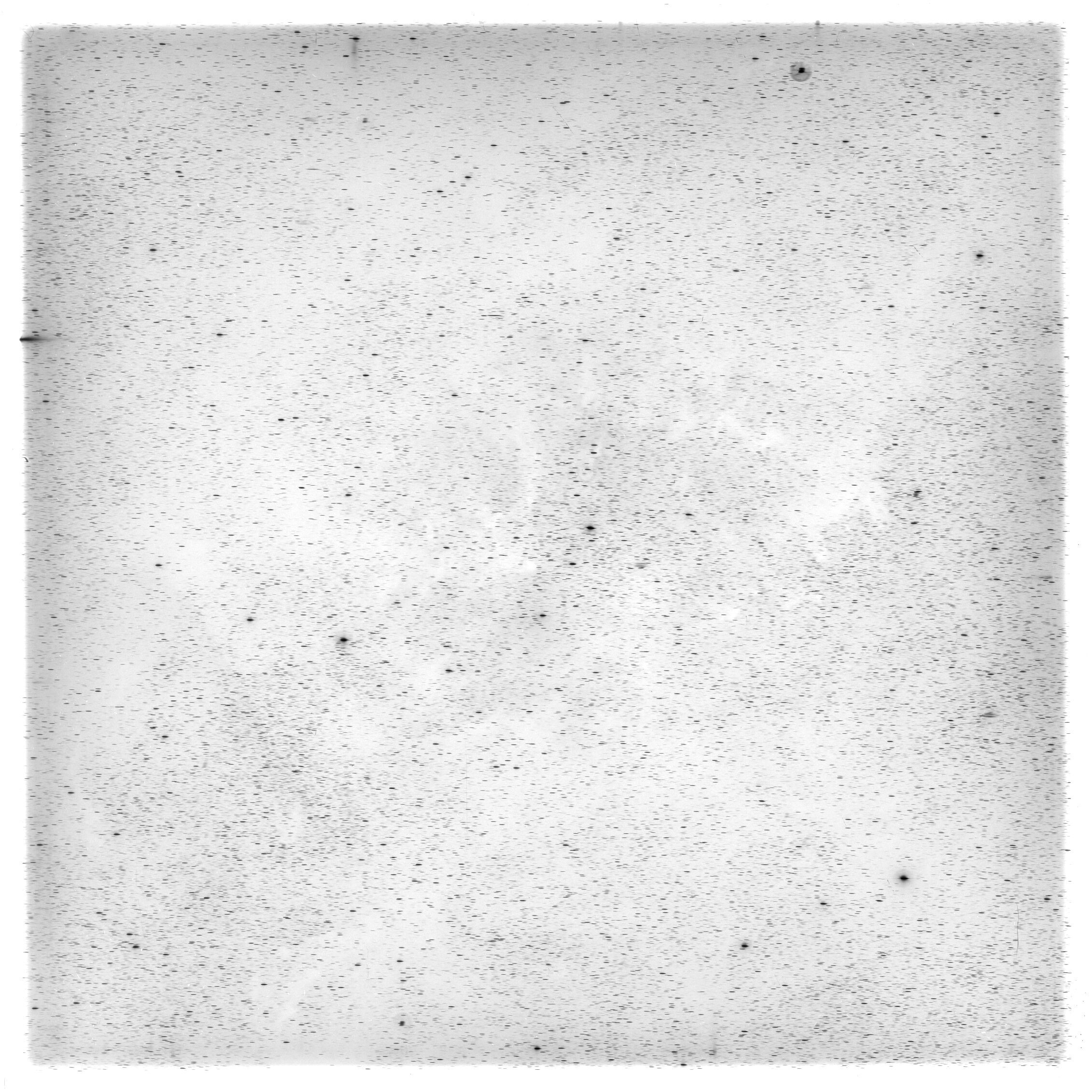 Scan HS00797
