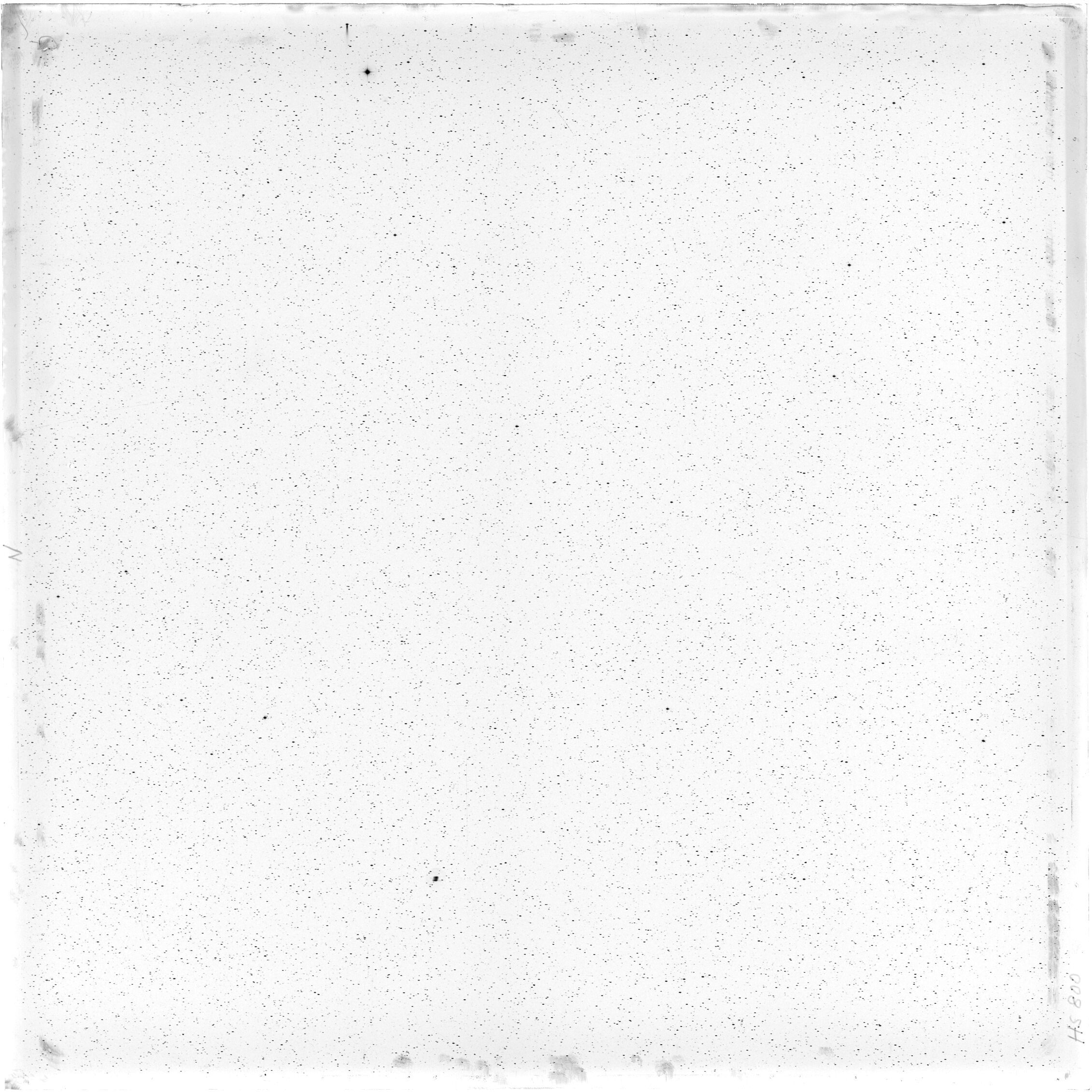 Scan HS00800