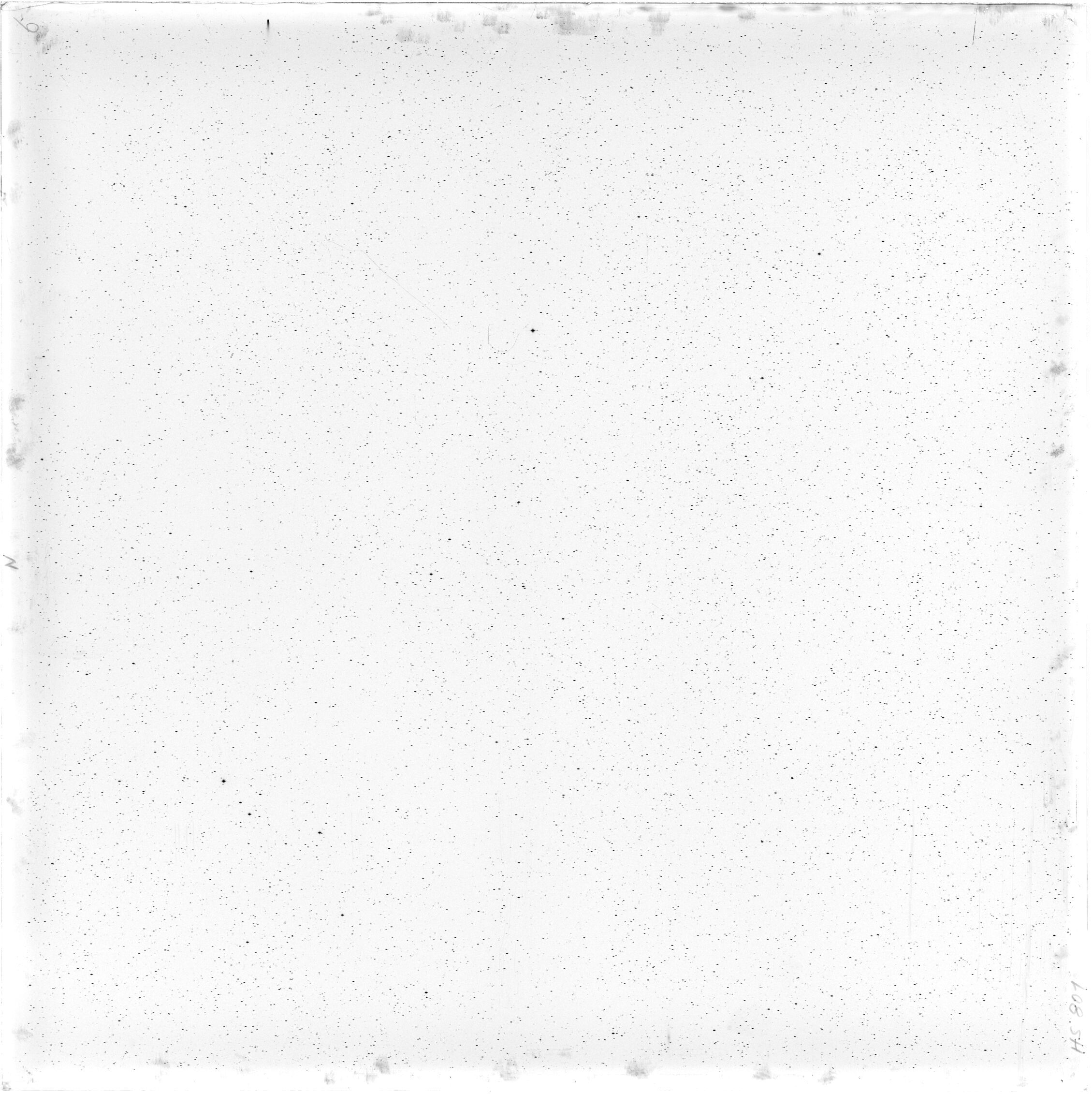 Scan HS00801