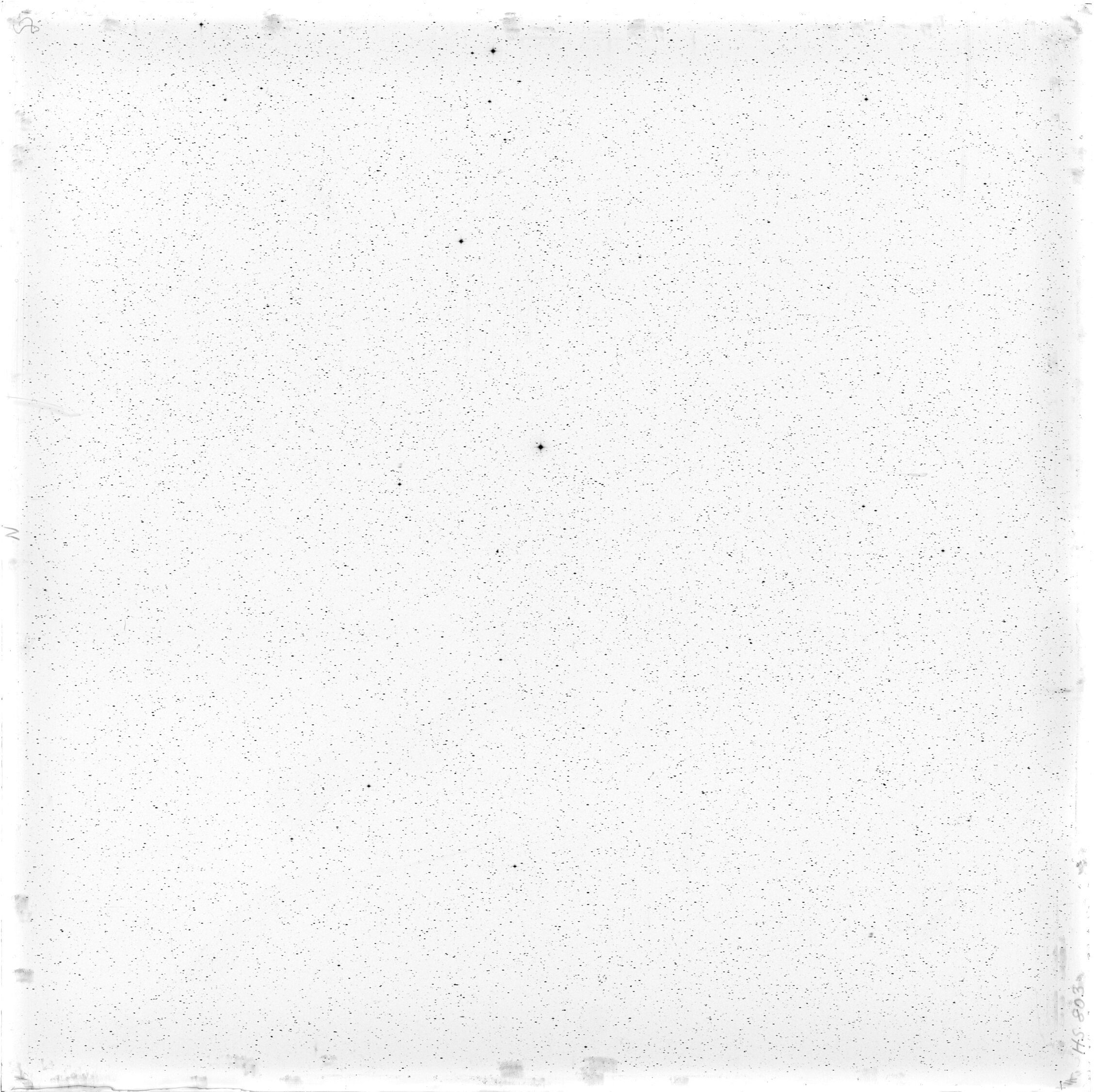 Scan HS00803