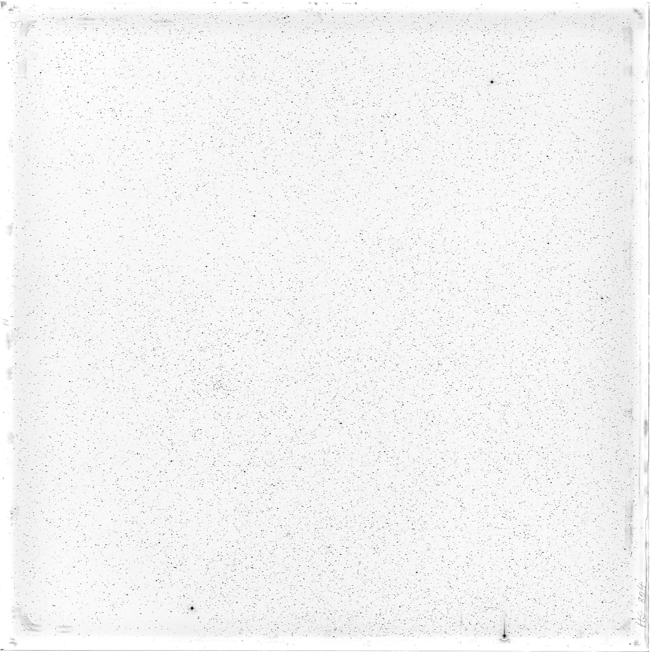 Scan HS00804