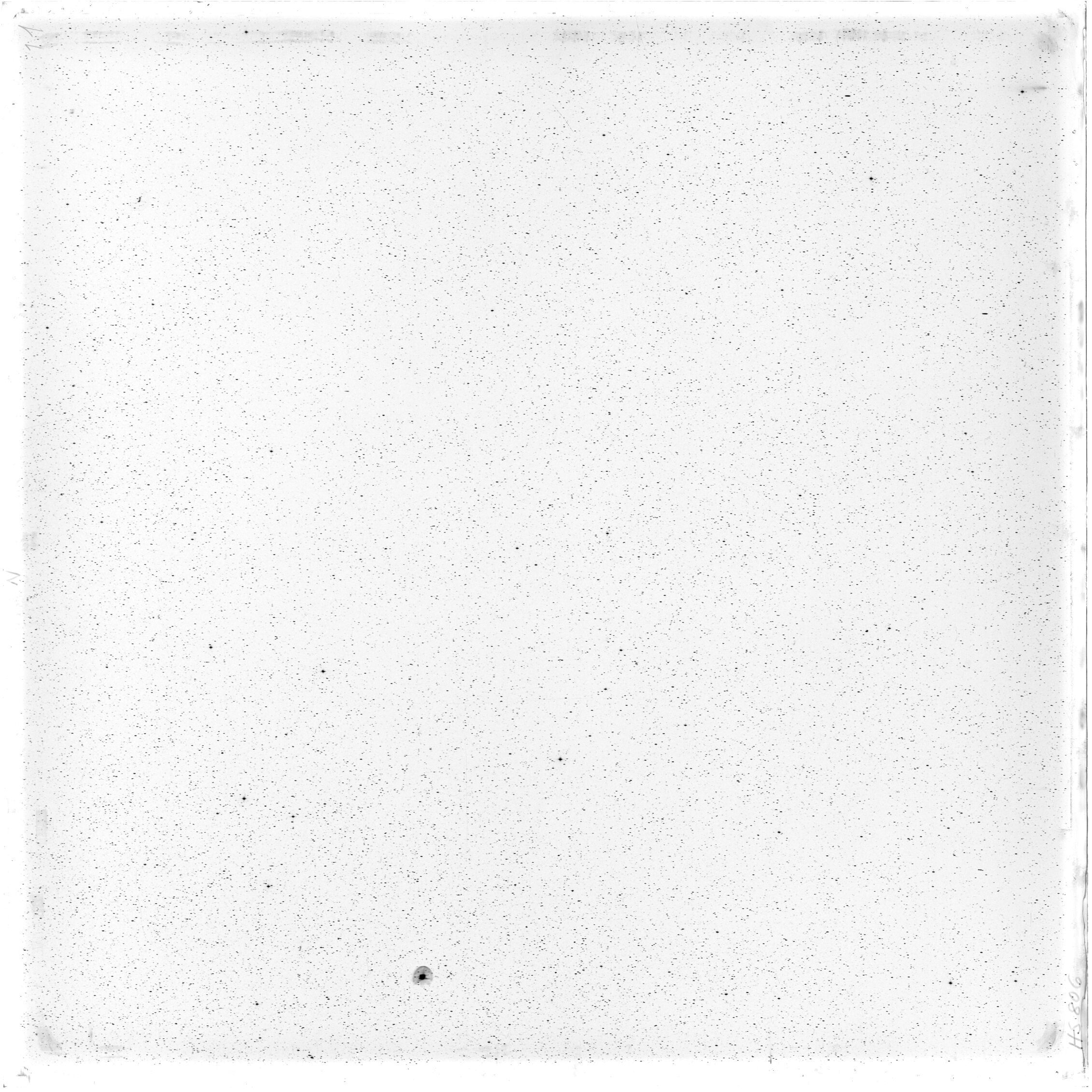 Scan HS00806