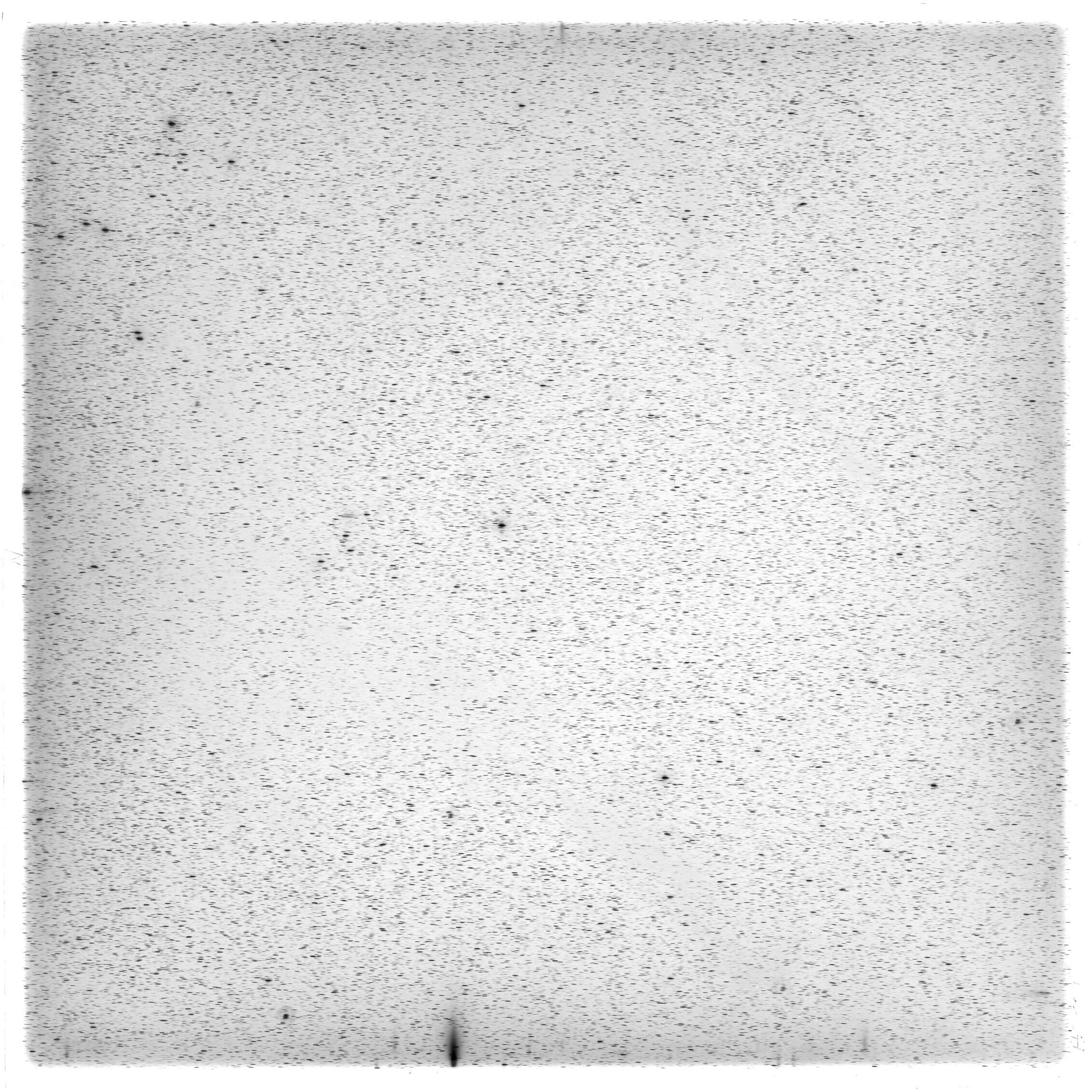 Scan HS00809