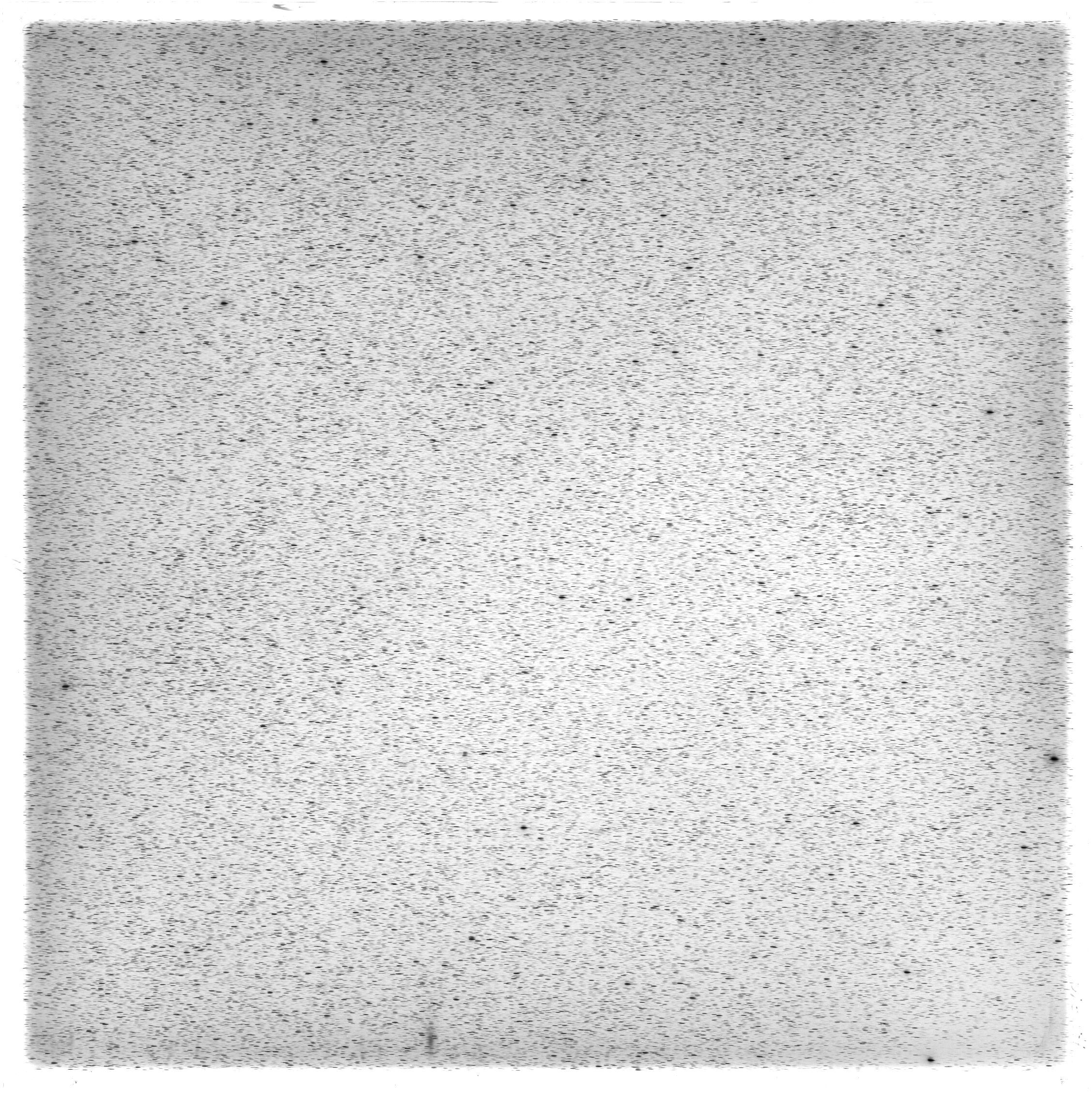 Scan HS00810