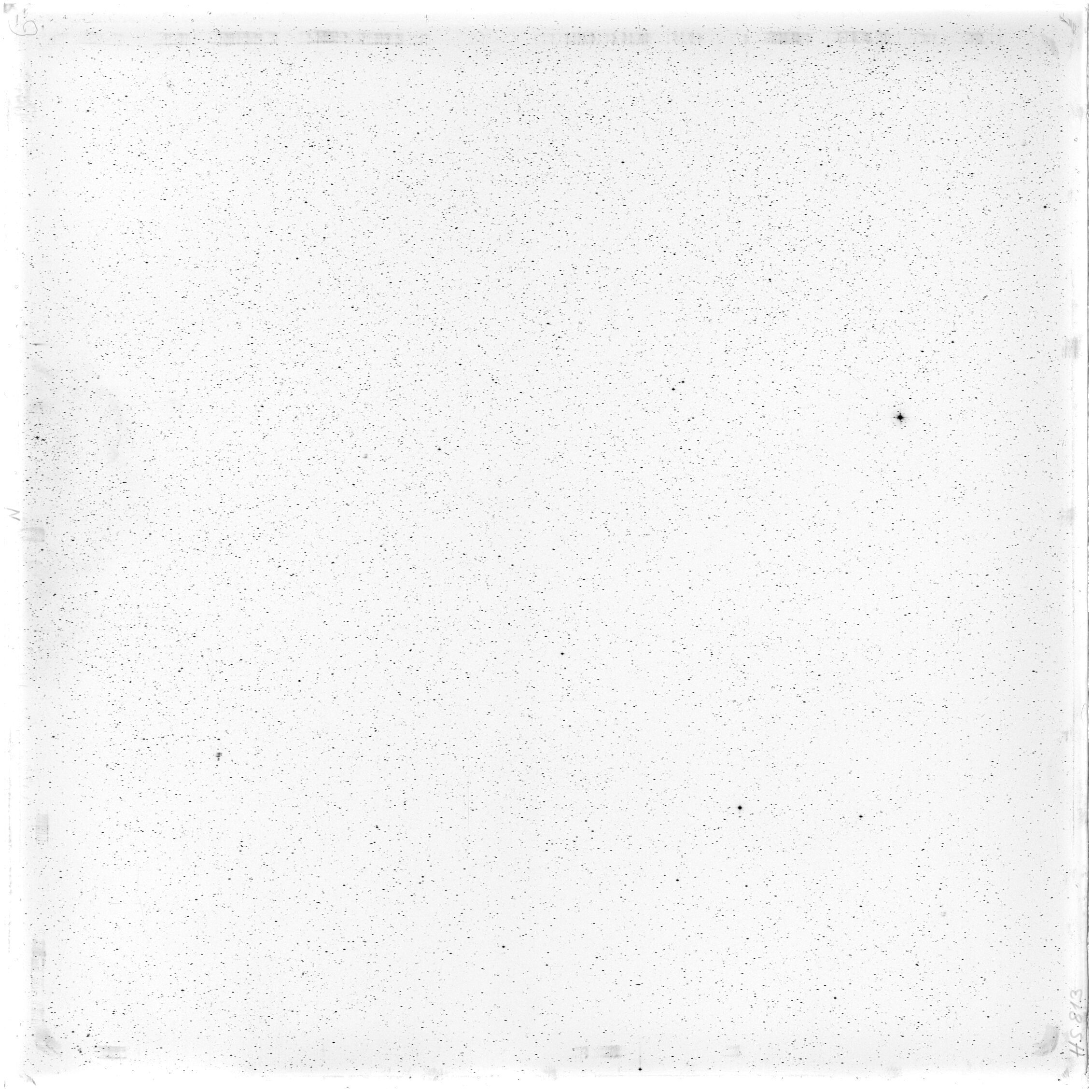 Scan HS00813