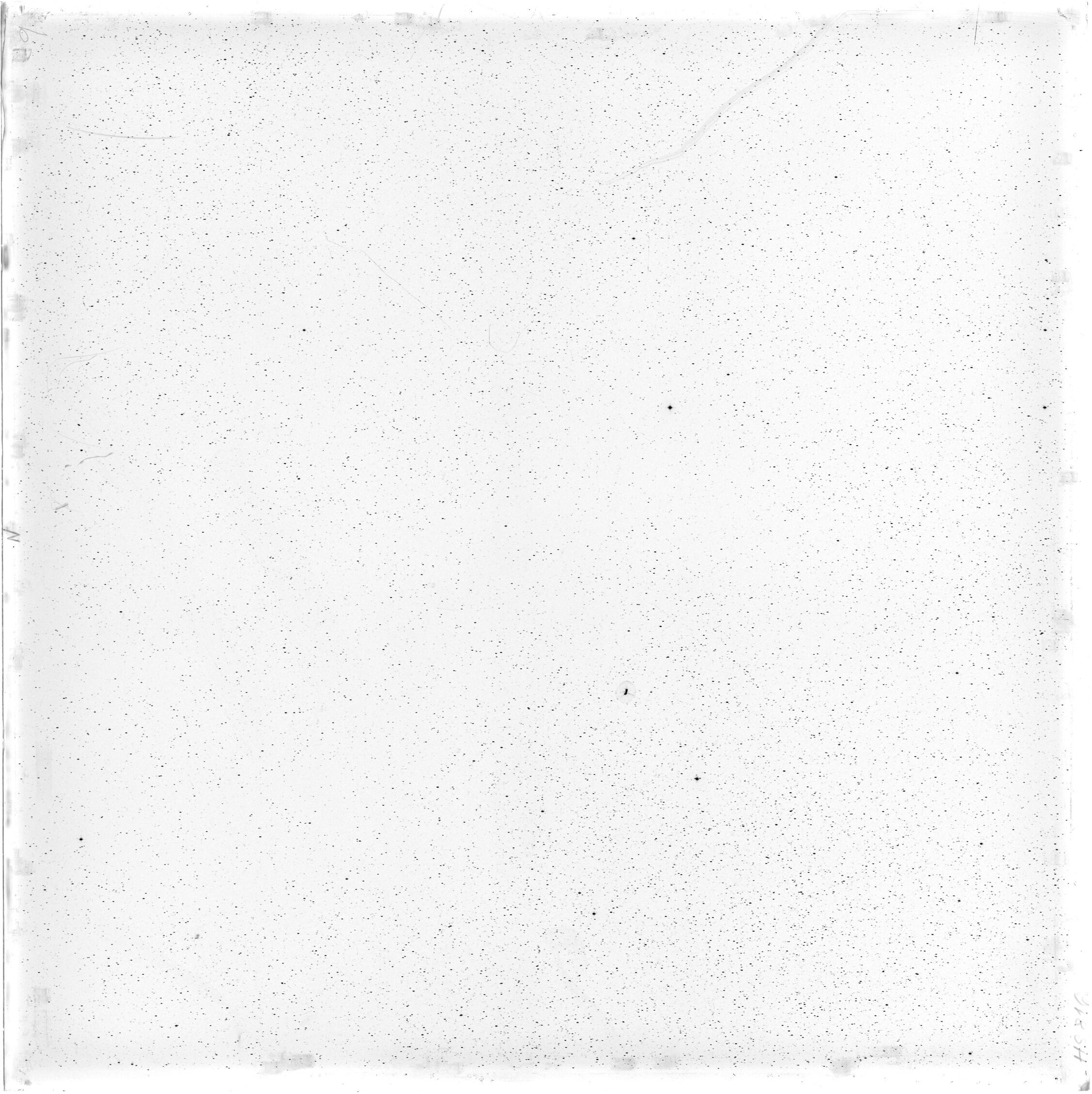Scan HS00816