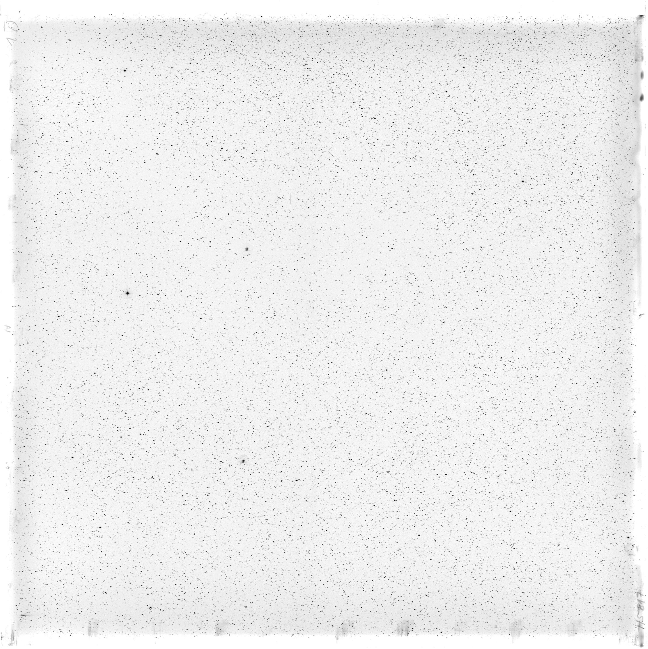 Scan HS00817