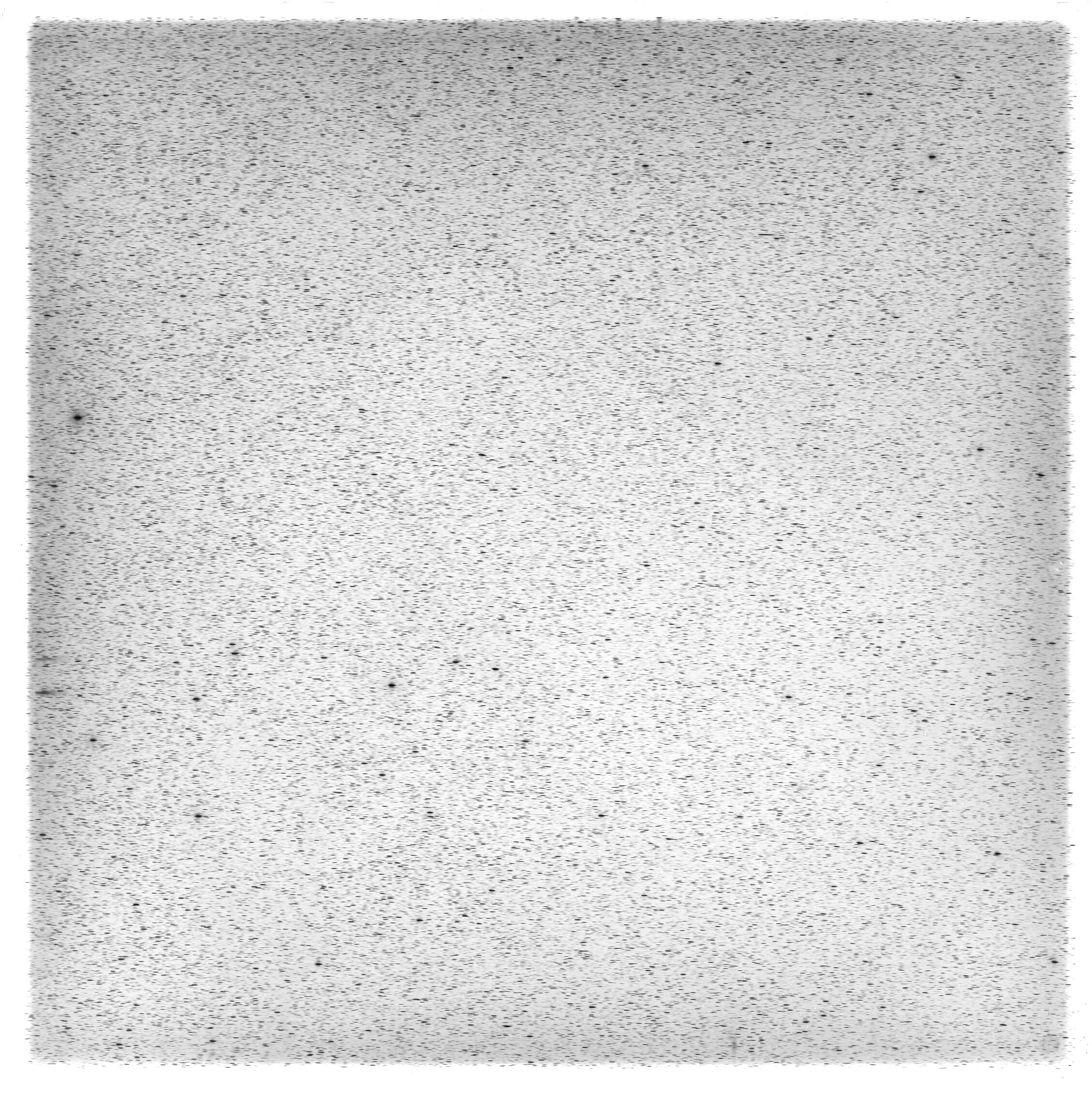 Scan HS00819