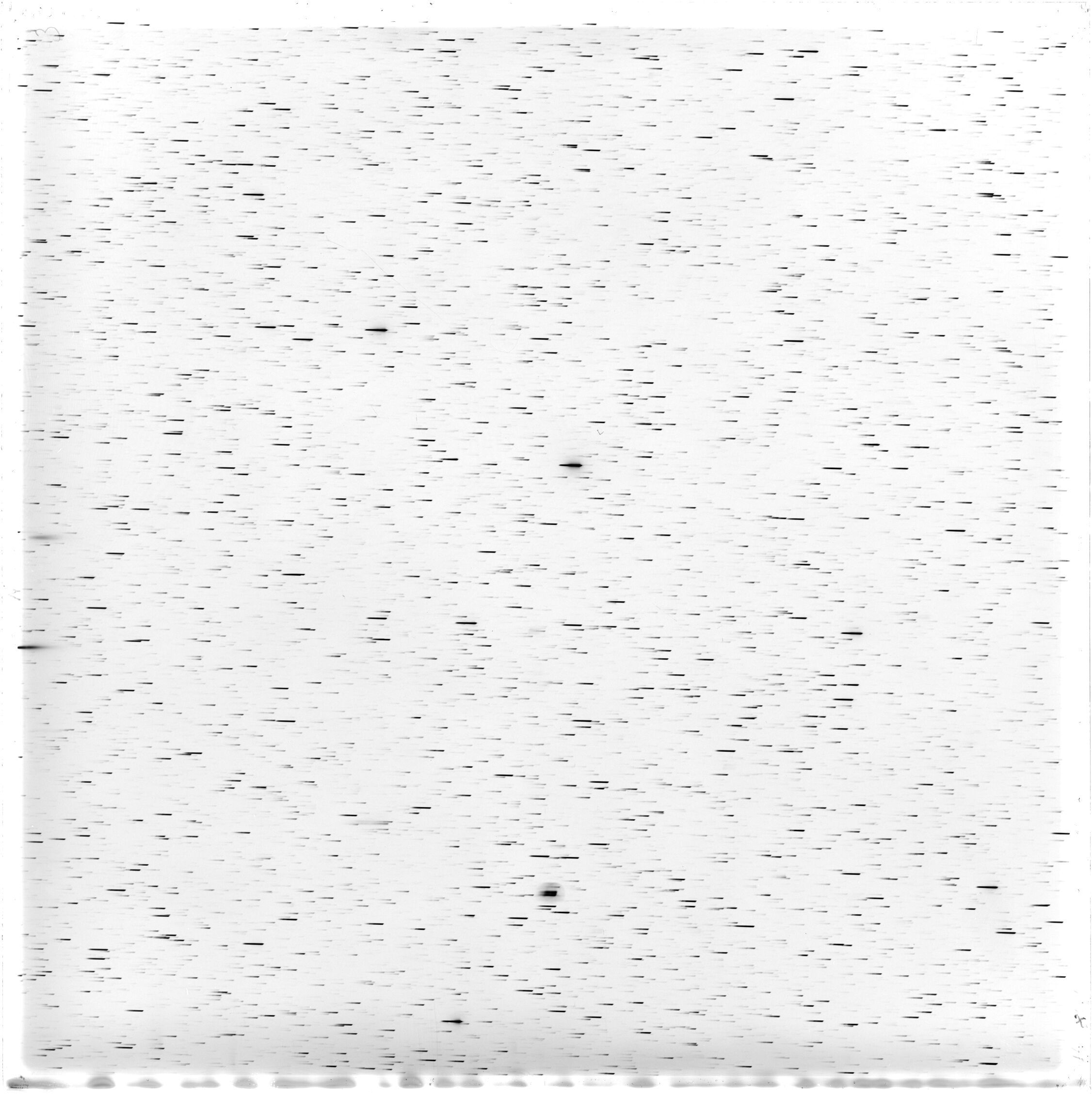 Scan HS00829