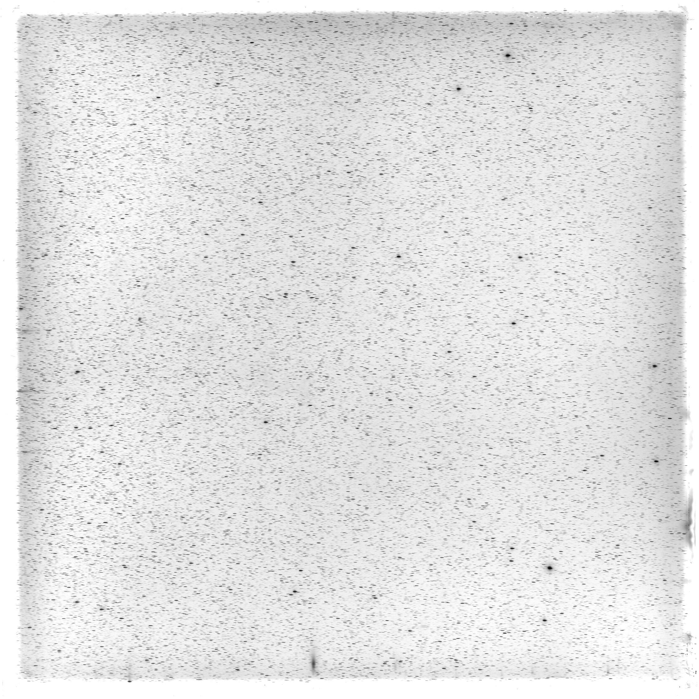 Scan HS00831