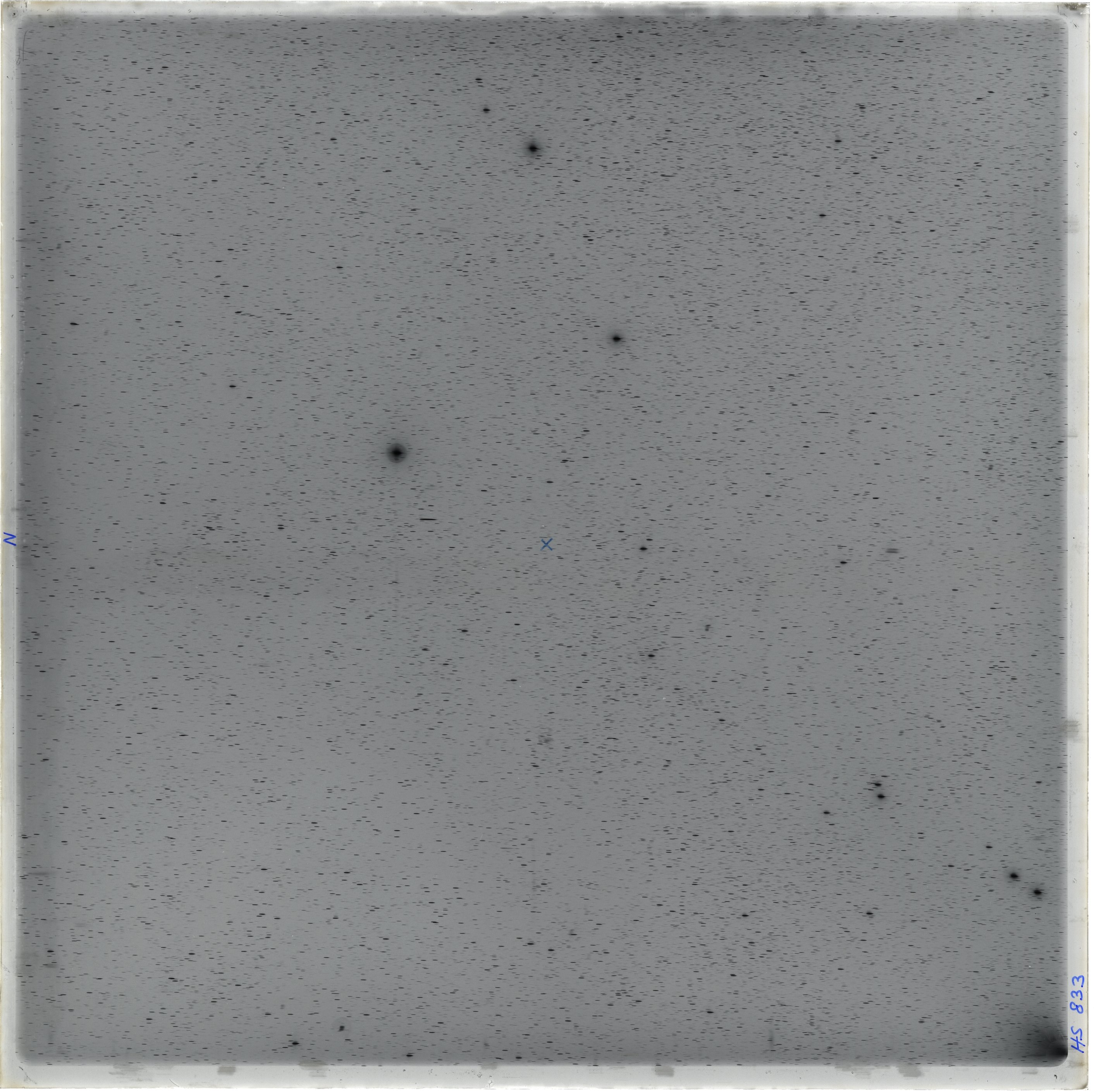 Scan HS00833