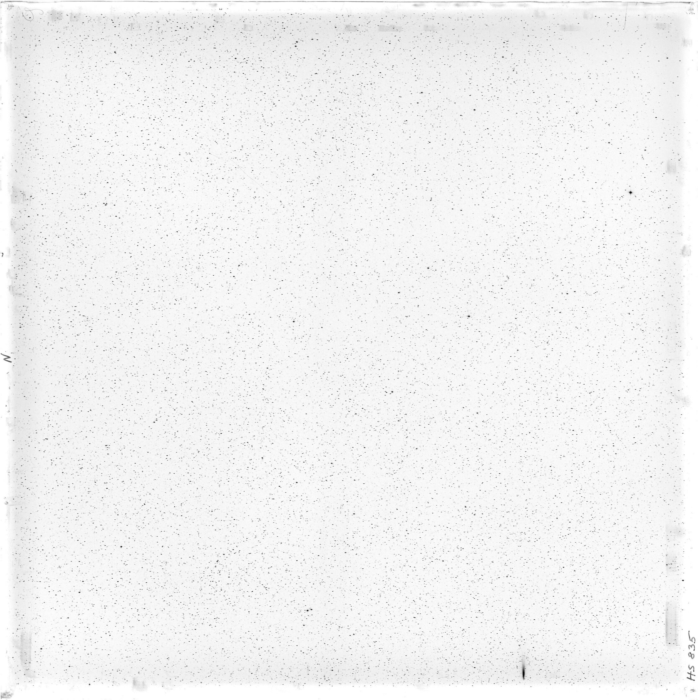 Scan HS00835