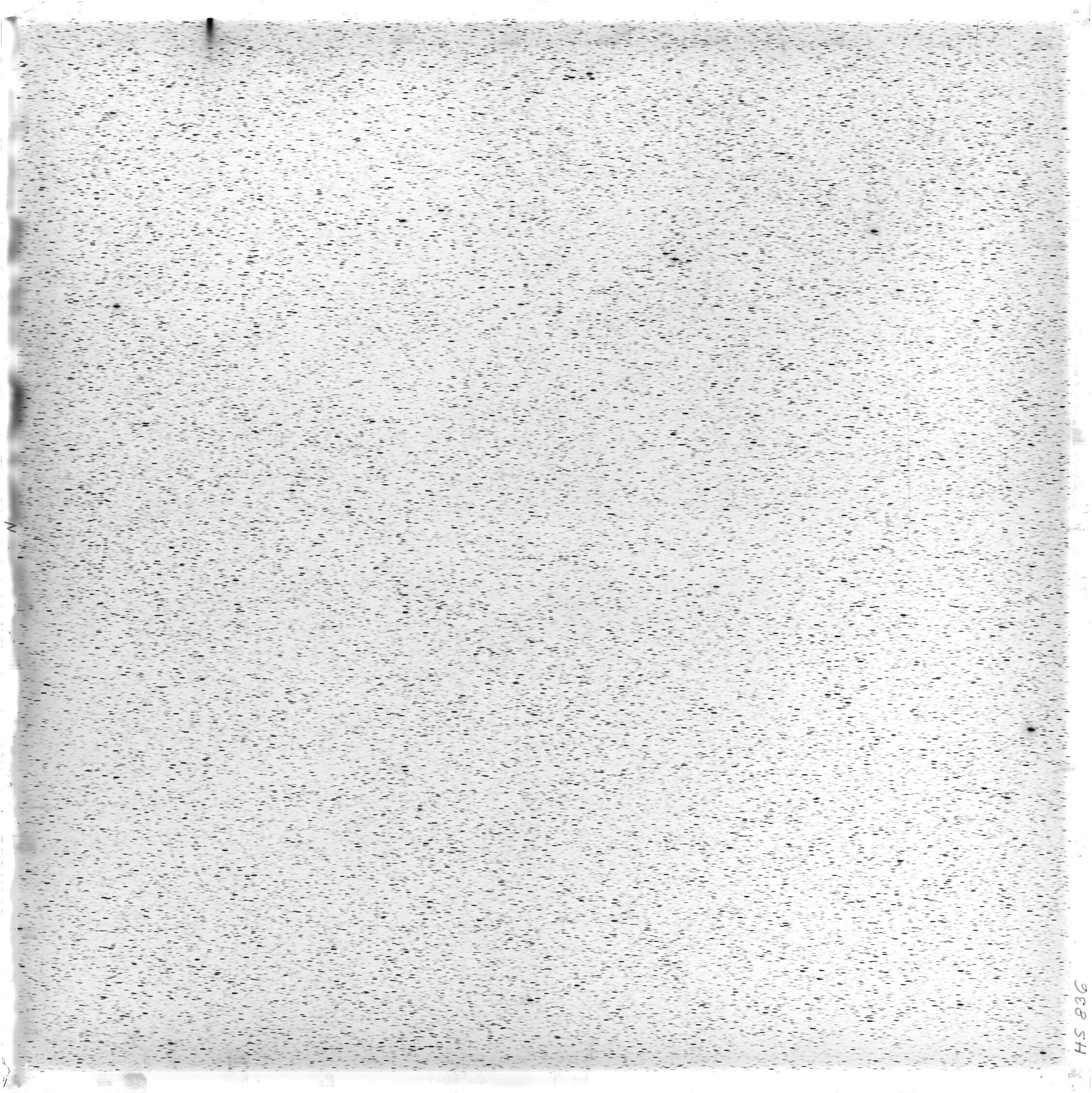 Scan HS00836