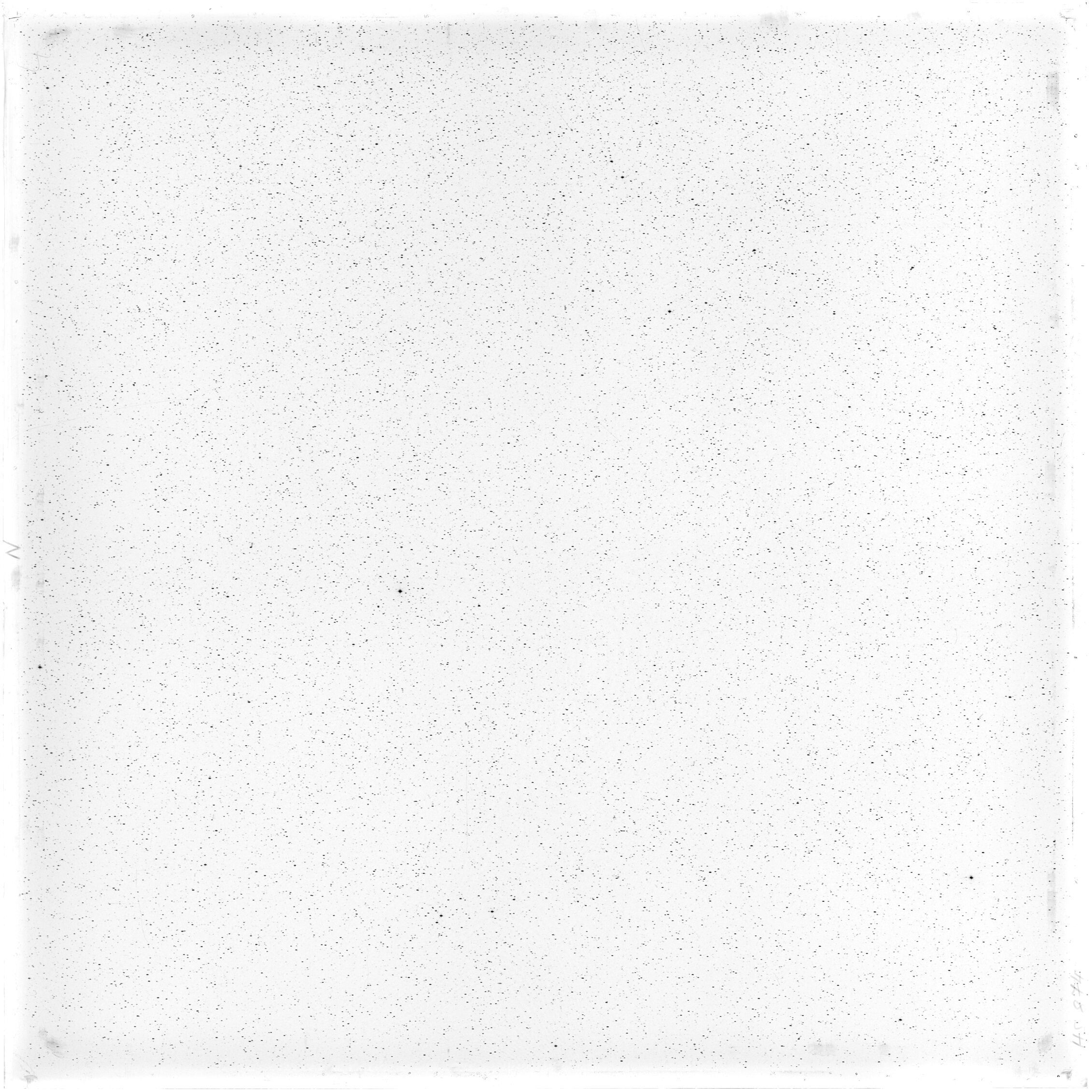 Scan HS00874