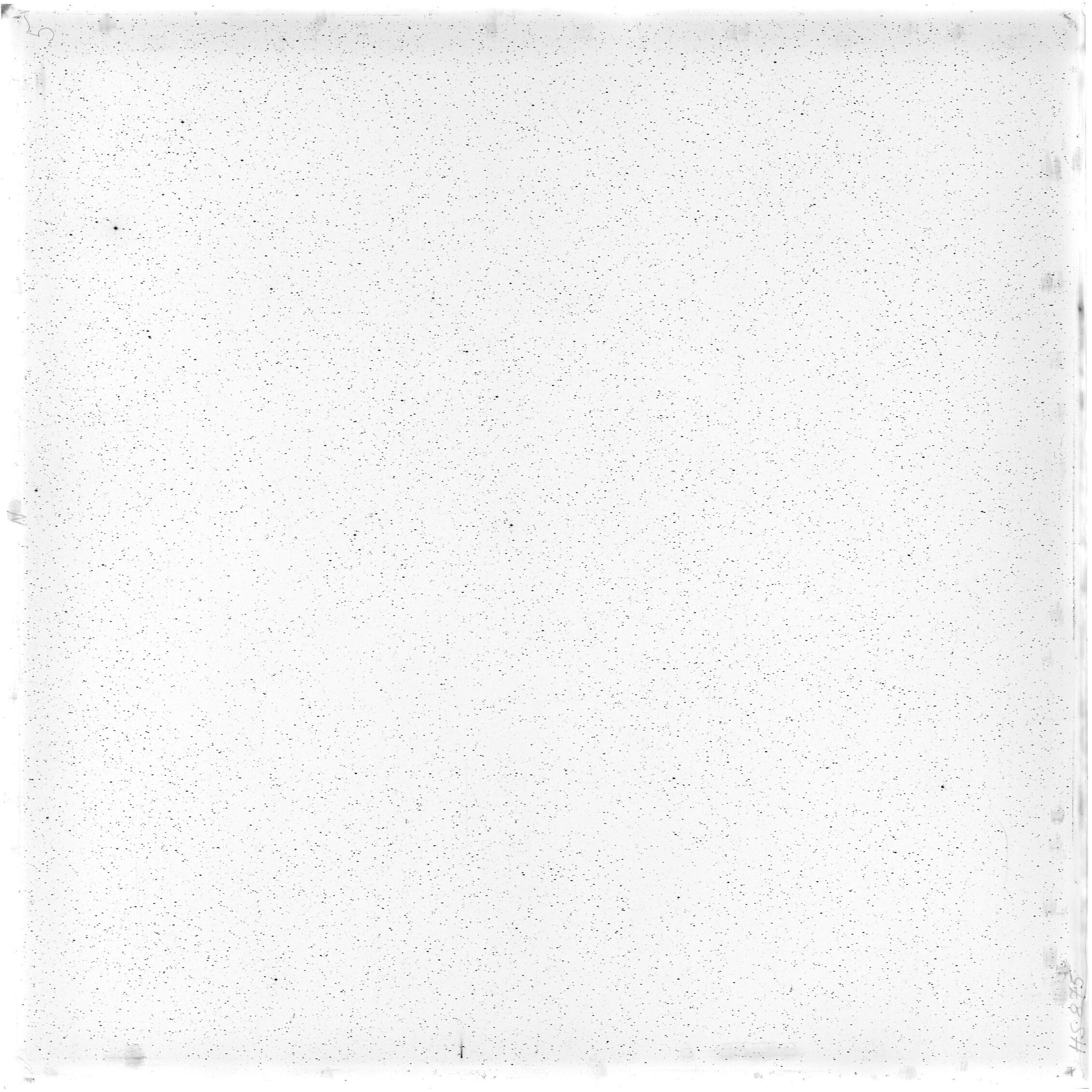 Scan HS00875