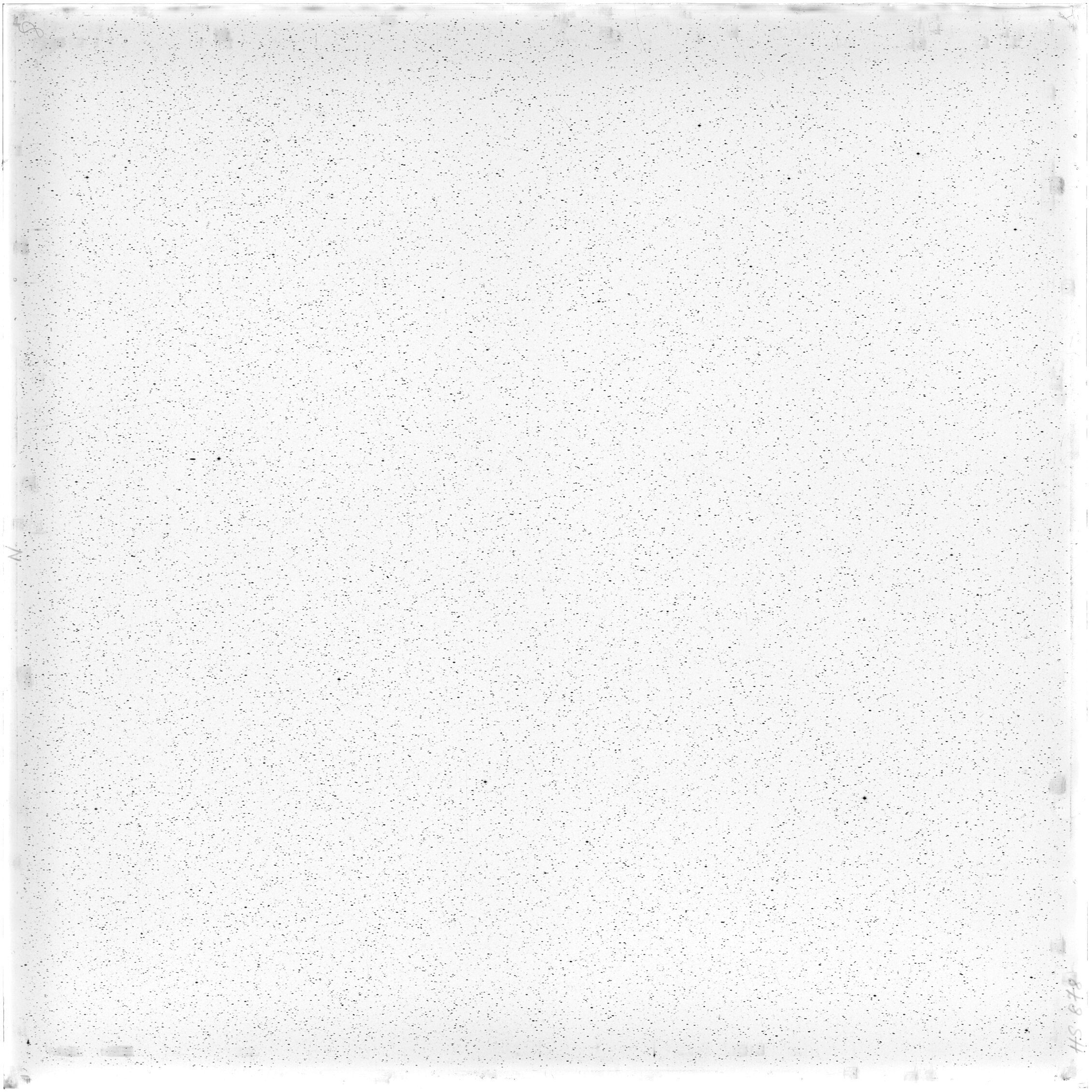 Scan HS00878