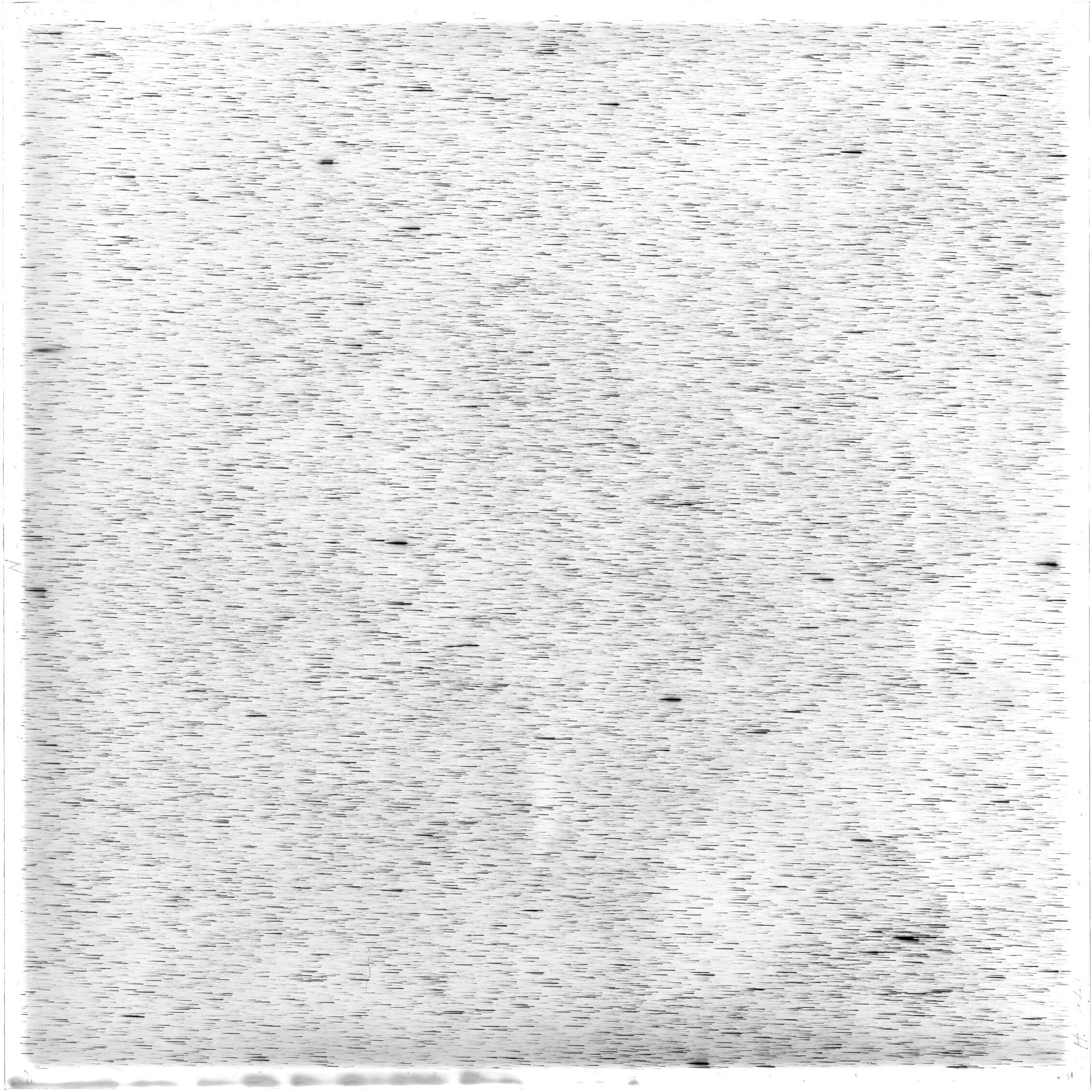 Scan HS00879
