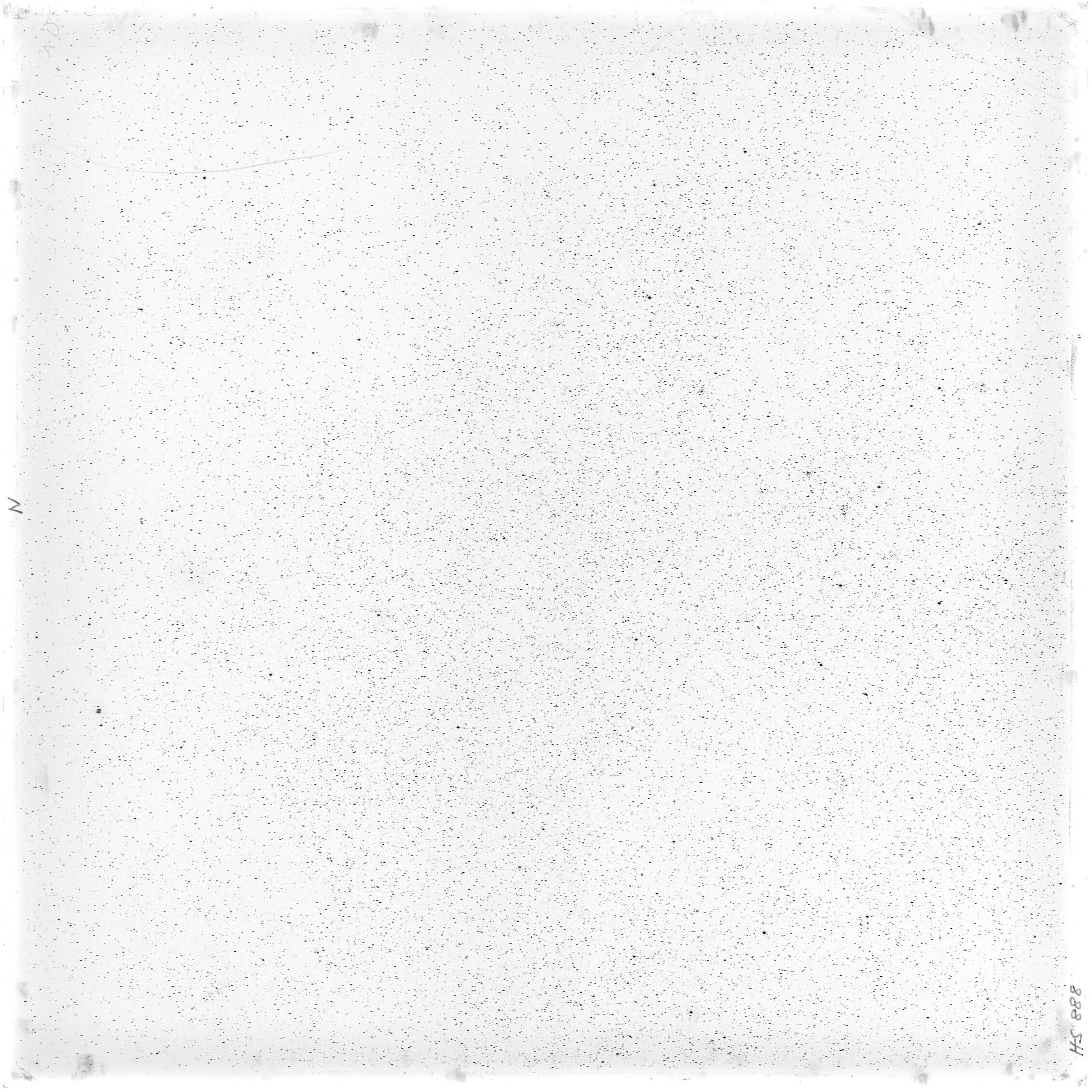 Scan HS00888
