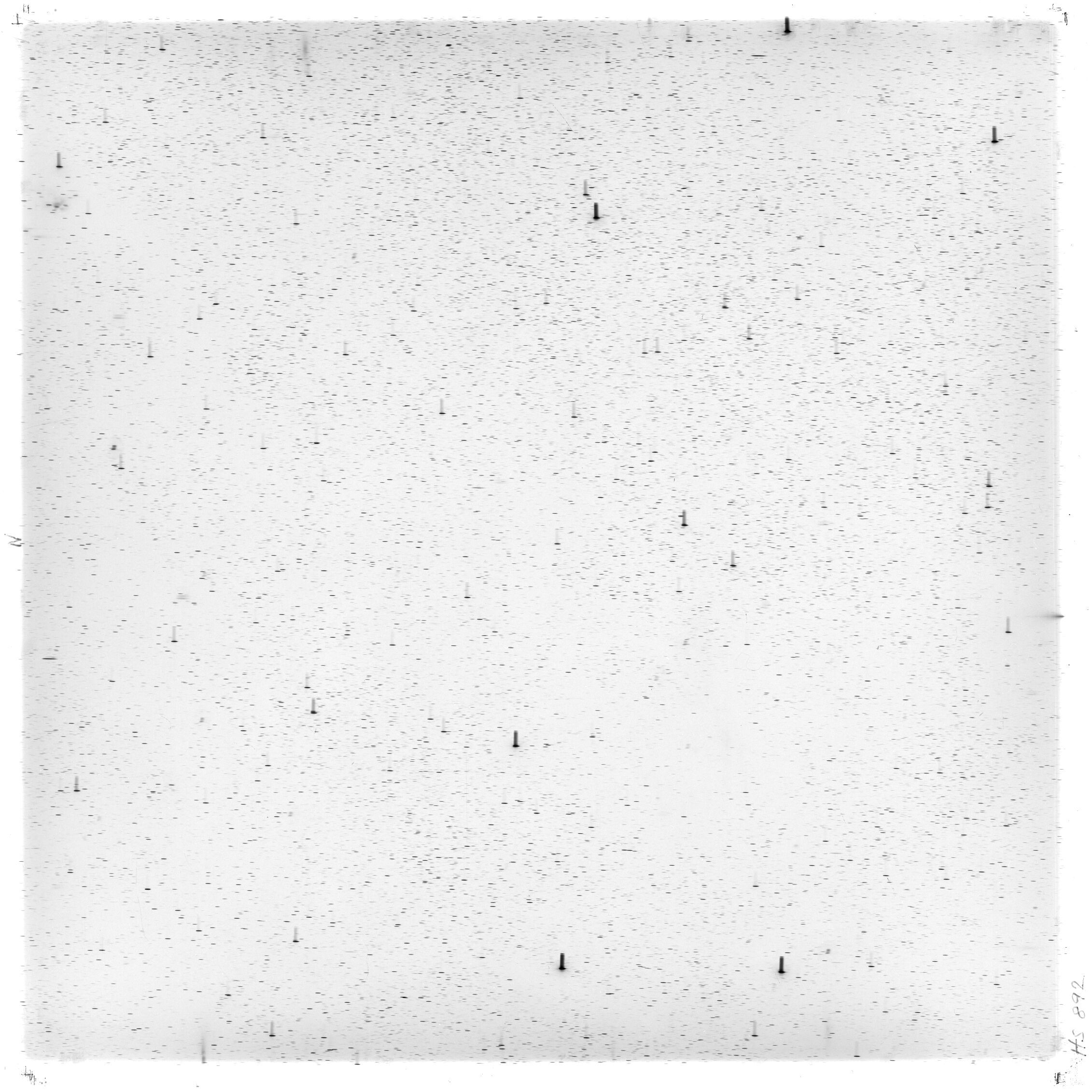 Scan HS00892