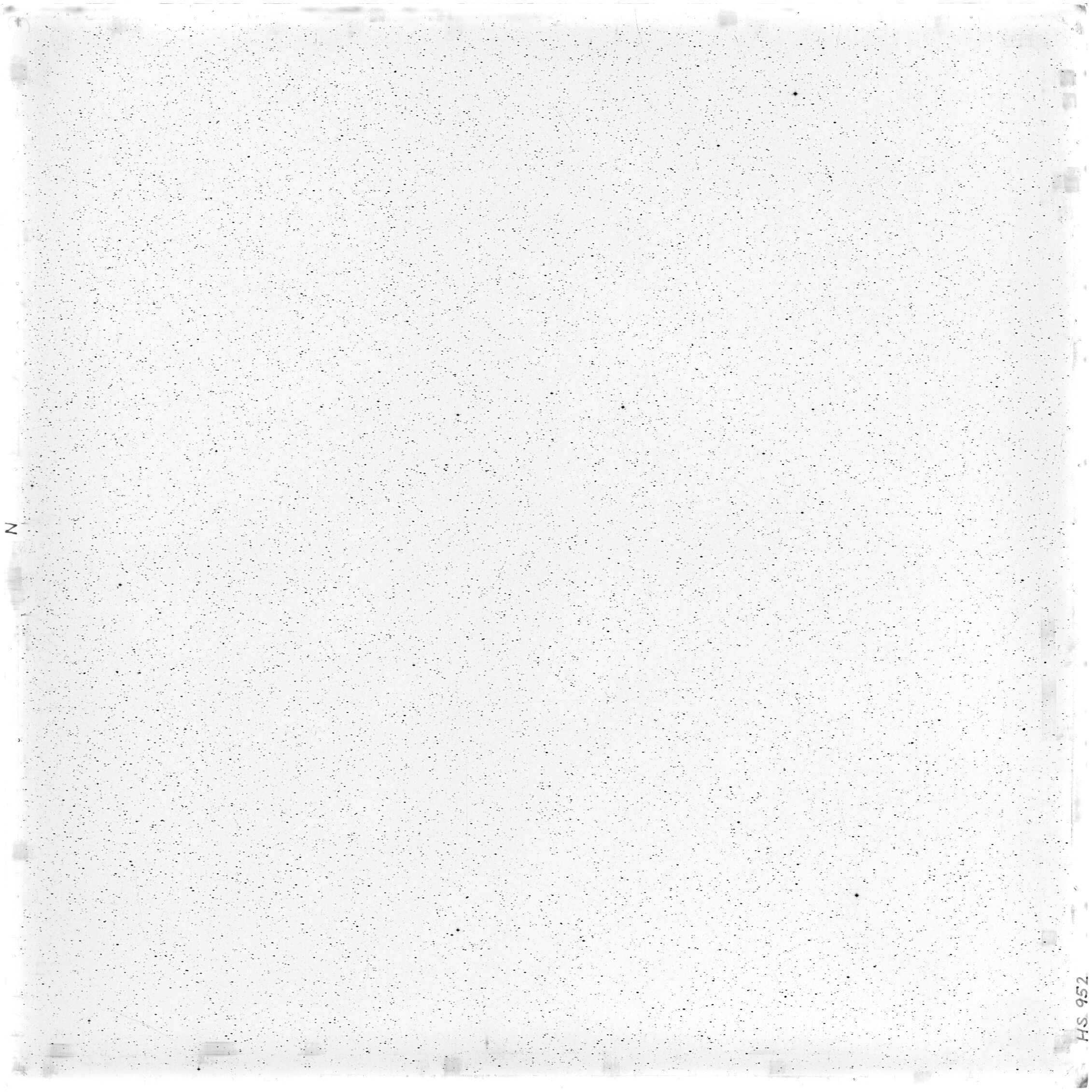 Scan HS00952