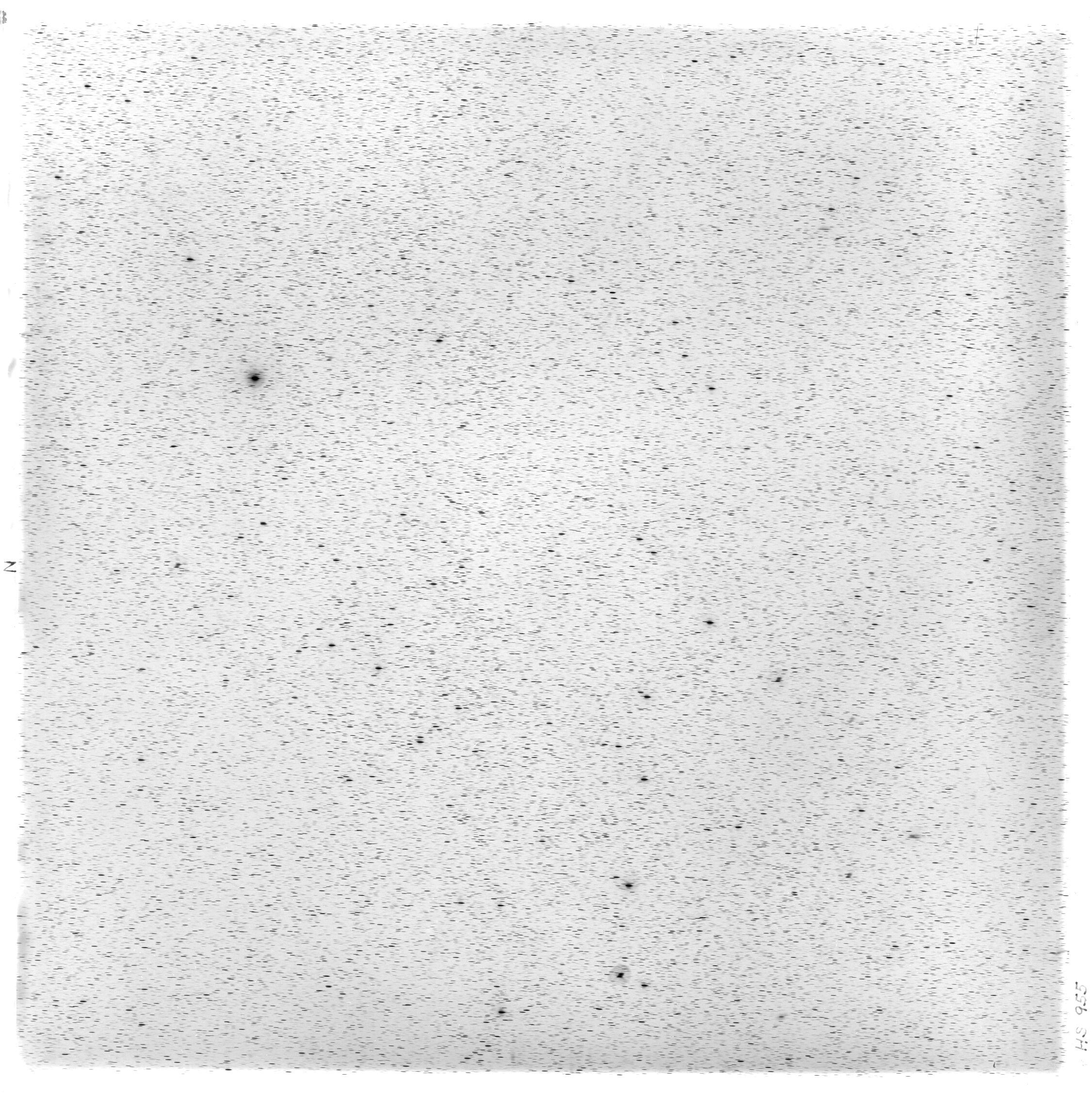 Scan HS00955