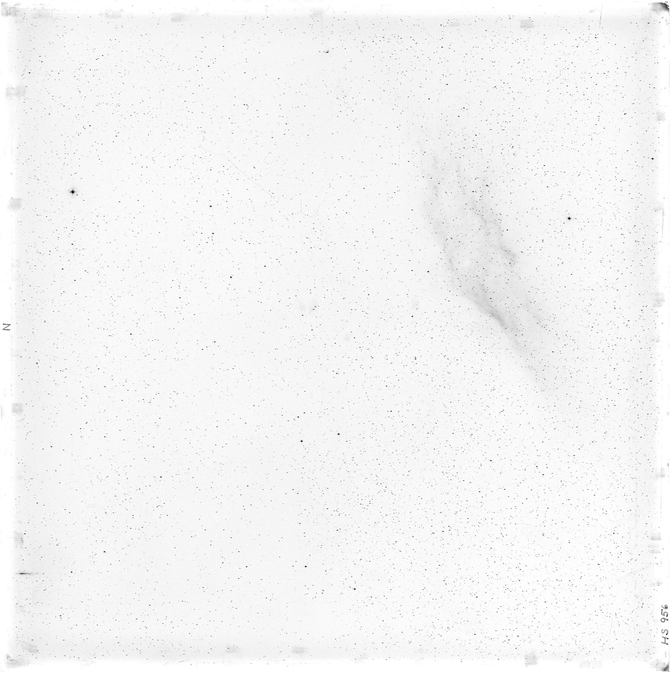 Scan HS00956