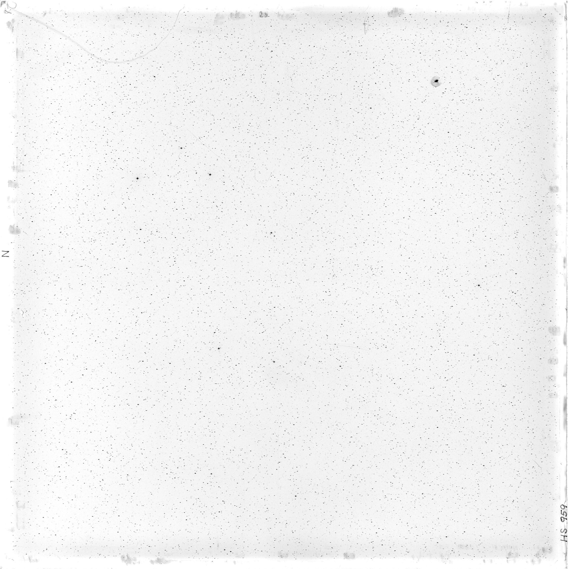 Scan HS00959